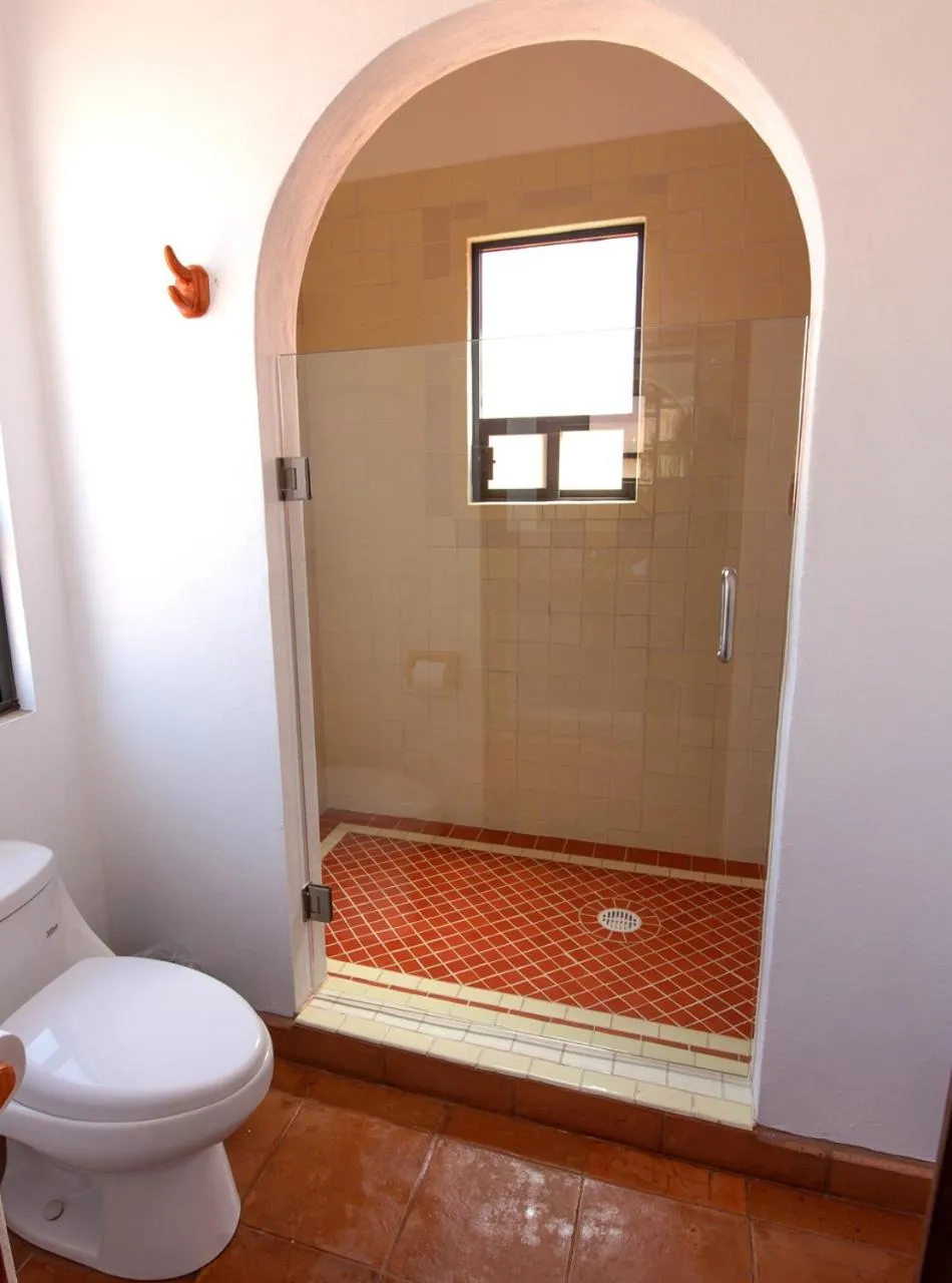 Shower in Hotel Camino Antiguo