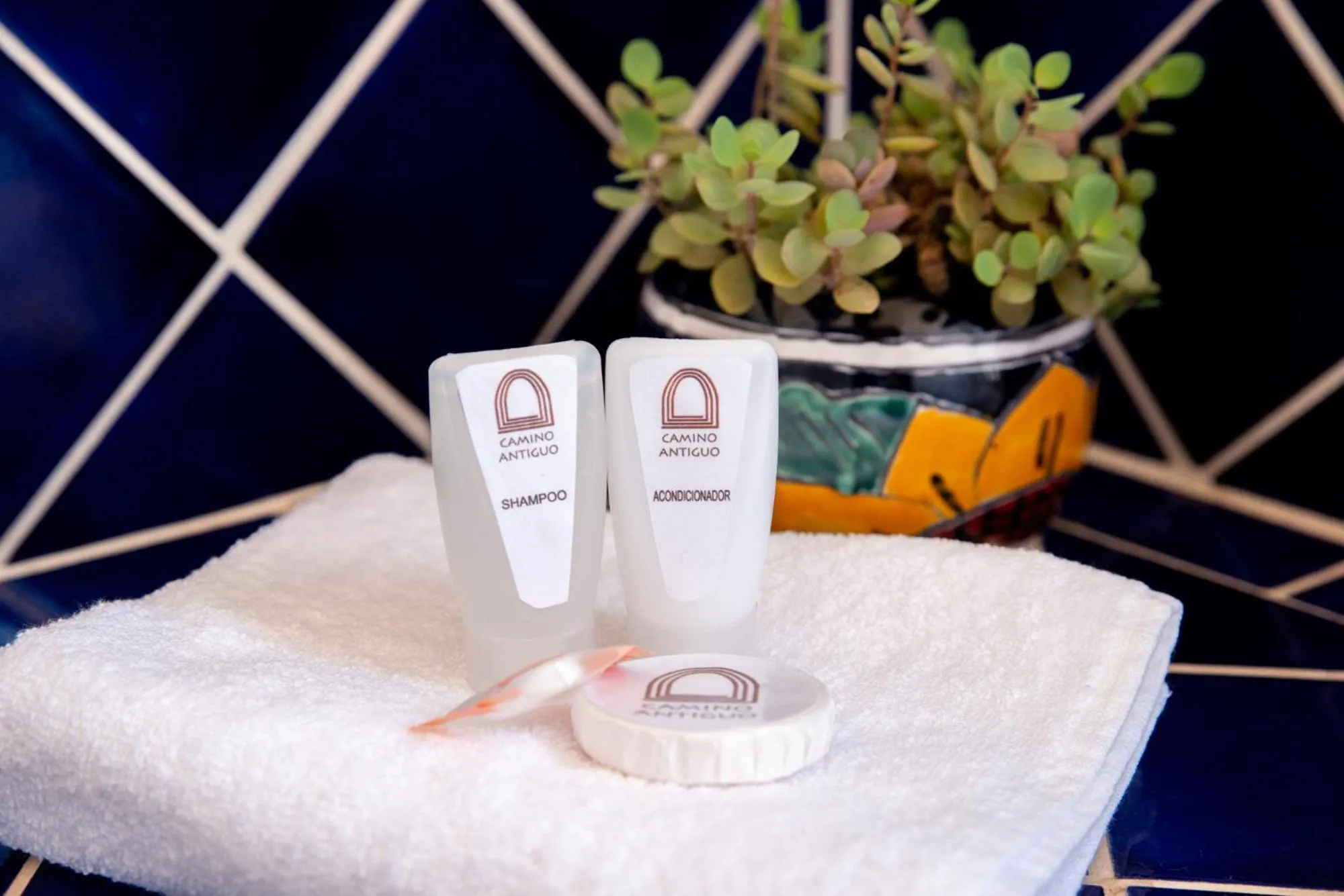 Other in Hotel Camino Antiguo