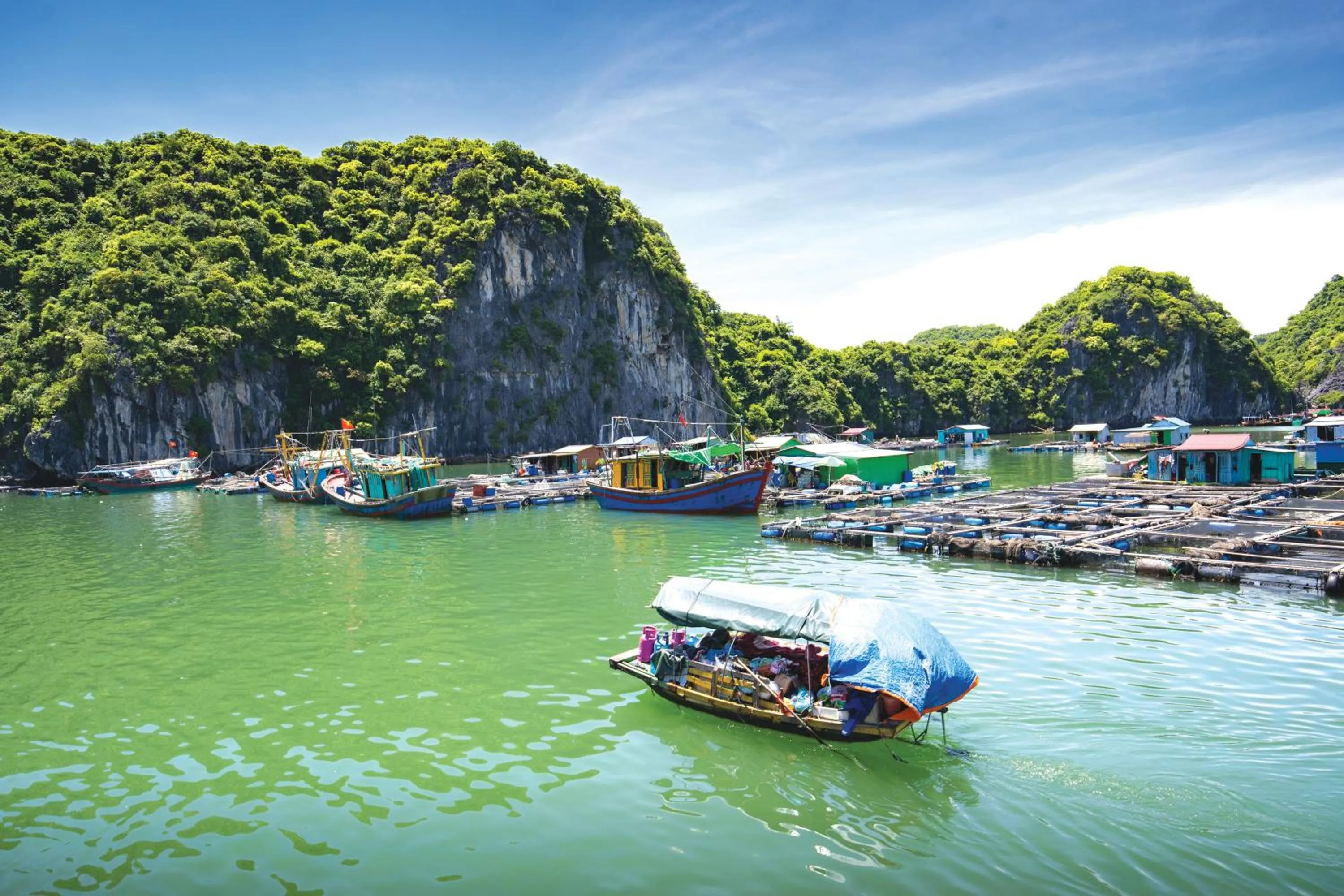 Entertainment in Sena Cruises - Wonder On Lan Ha Bay