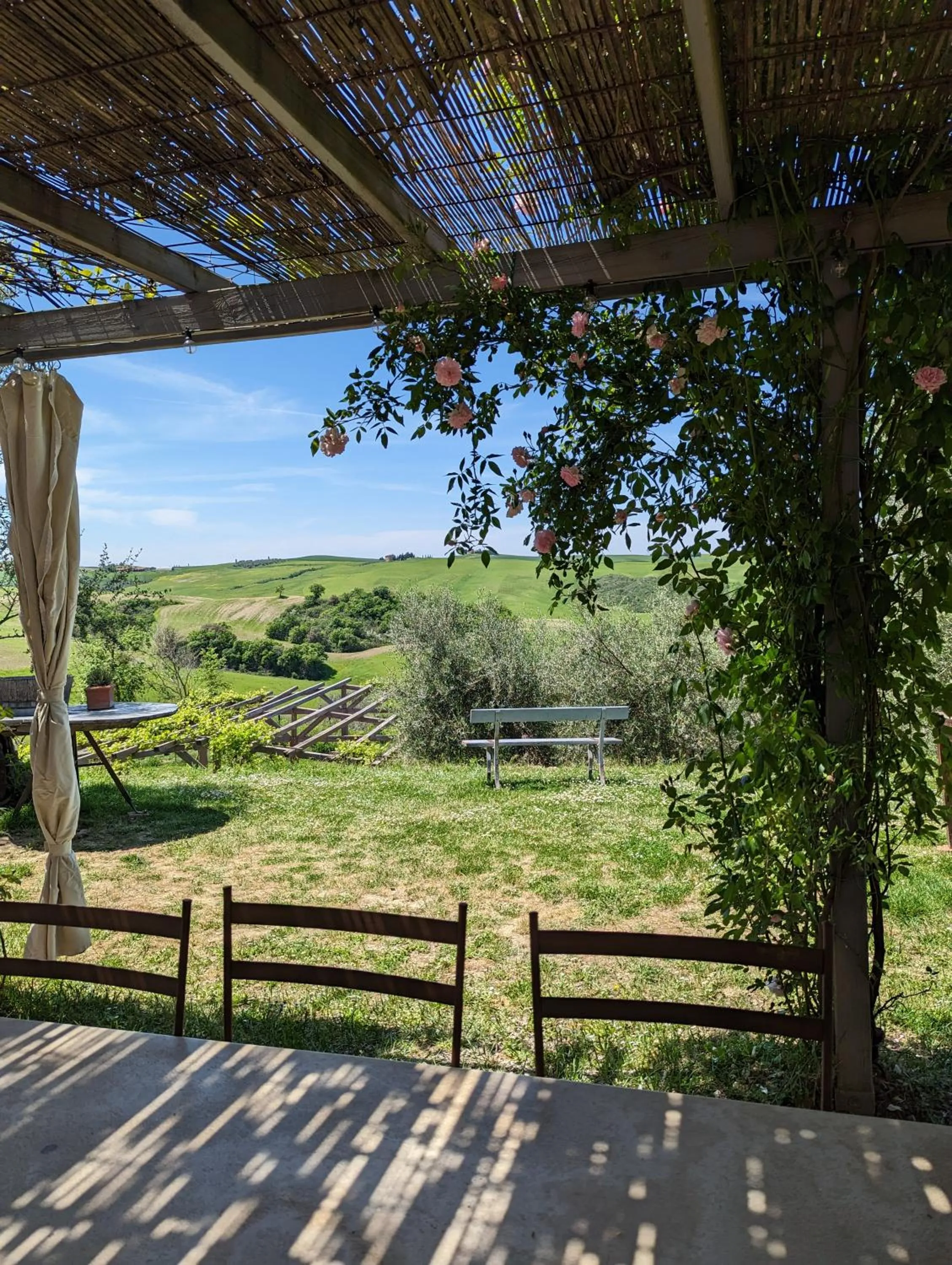 Restaurant/places to eat in Podere Spedalone