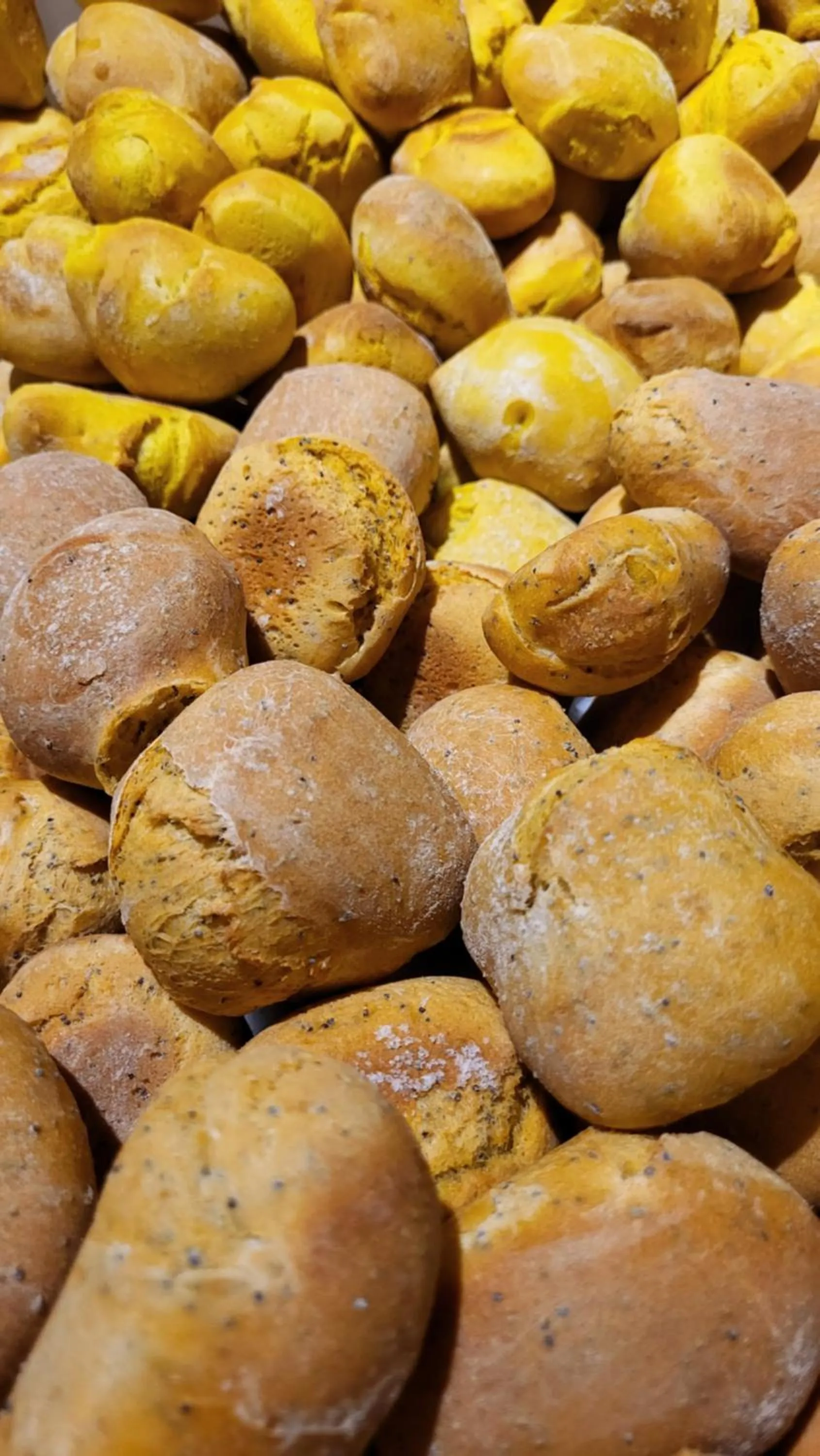 Restaurant/places to eat in Podere Spedalone