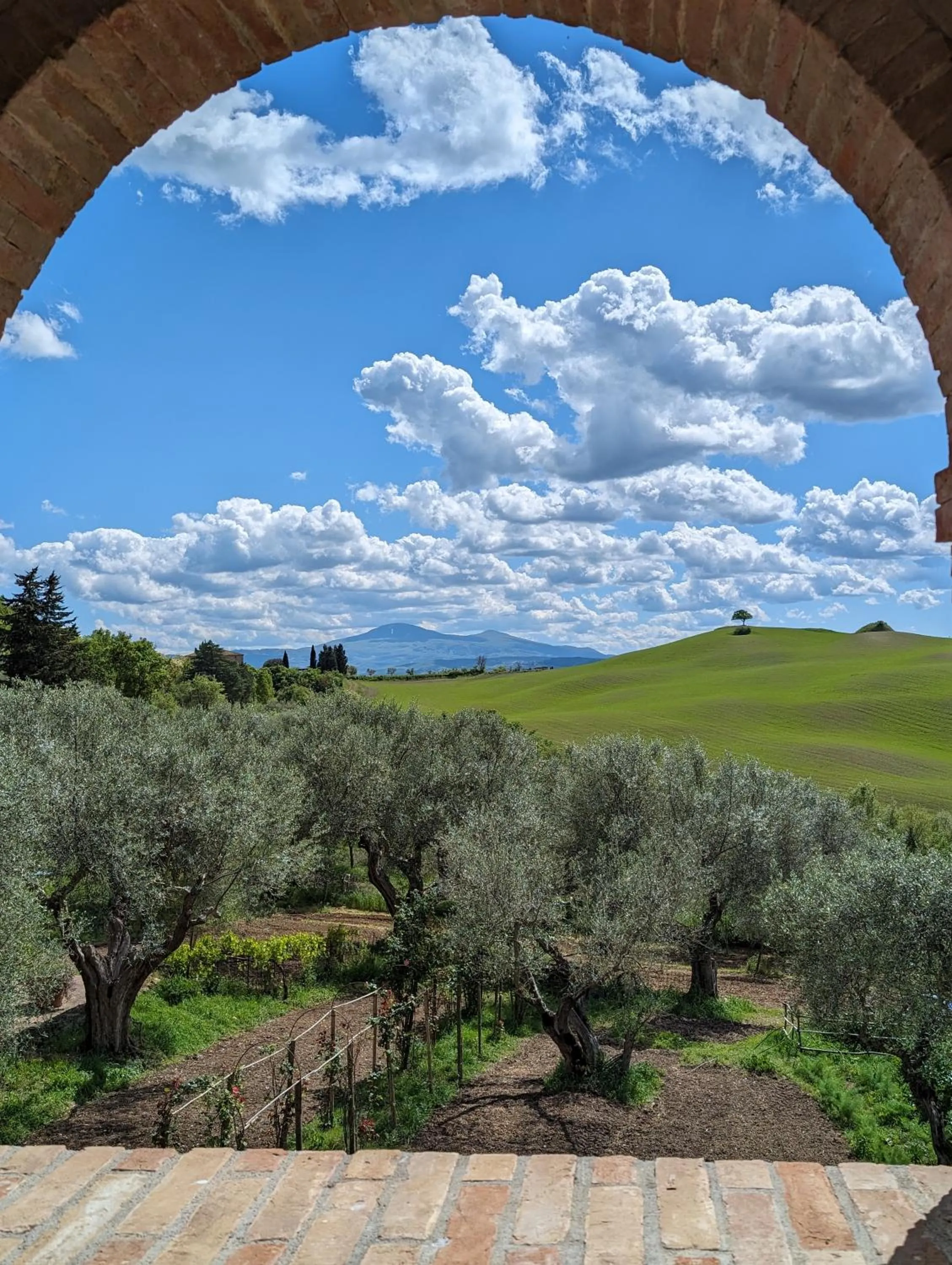 Garden view in Podere Spedalone