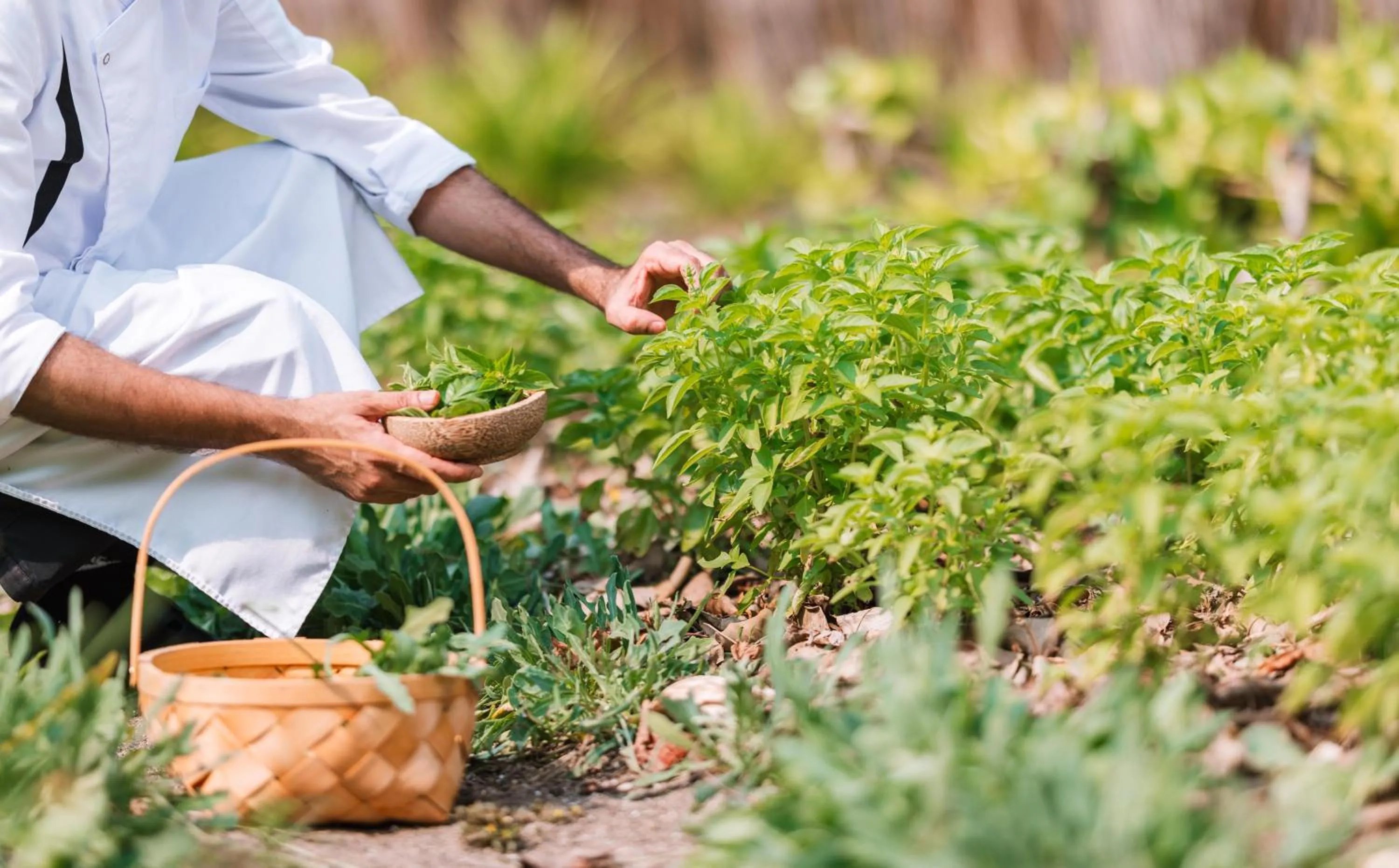 Spa and wellness centre/facilities in JA Manafaru, The Real Maldives - Complimentary Seaplane for 7 nights and more - Stay period until 23 Dec 2025