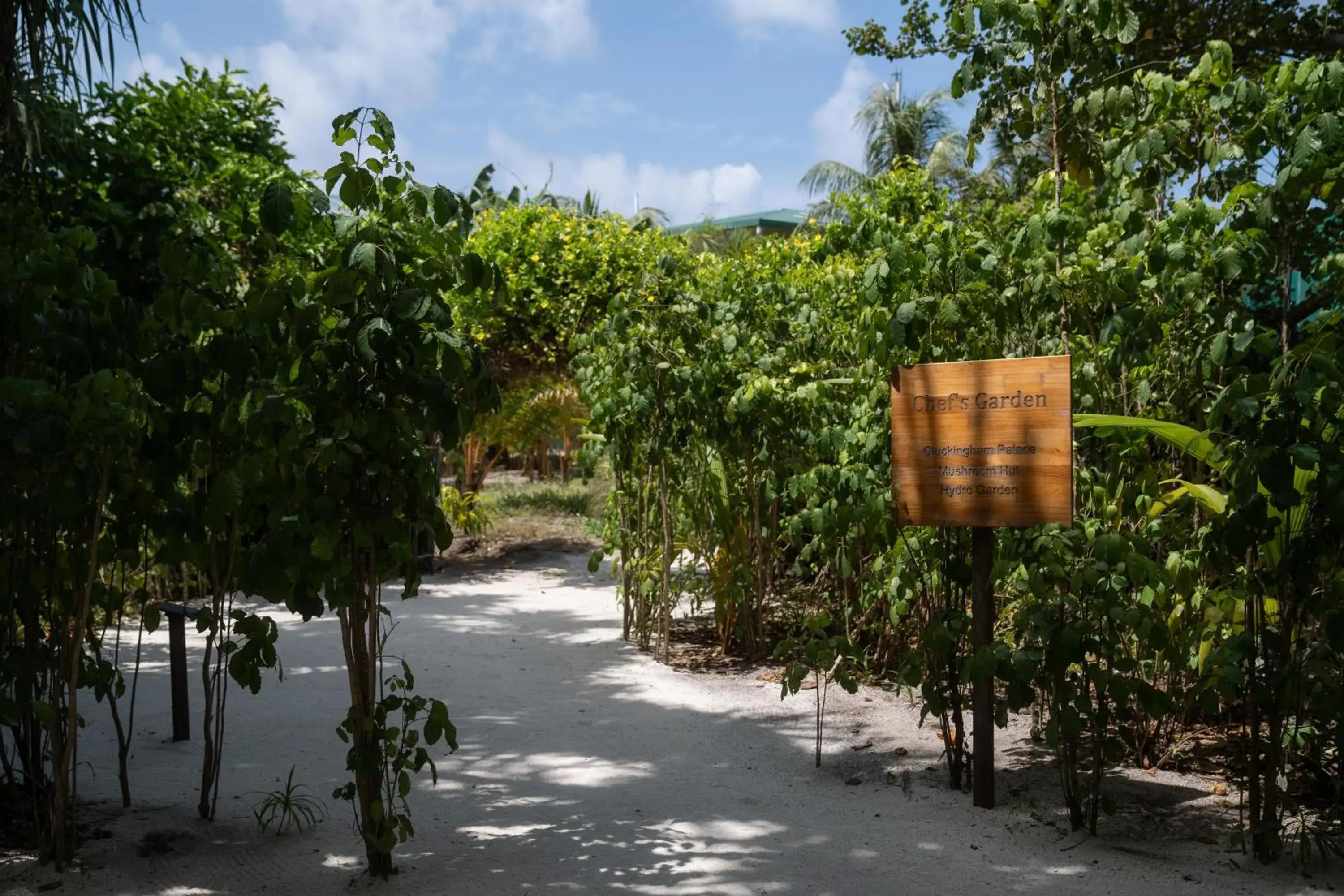 Property building in JA Manafaru, The Real Maldives - Complimentary Seaplane for 7 nights and more - Stay Period 01 May 2026 to 23 Dec 2026 Property building in JA Manafaru, The Real Maldives - Complimentary Seaplane for 7 nights and more - Stay Period 01 May 2026 to 23 Dec 2026