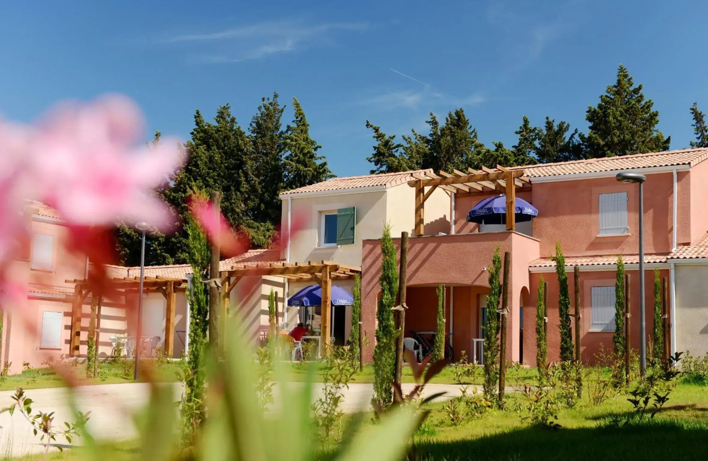 Property building in Résidence Odalys Le Mas des Alpilles Property building in Résidence Odalys Le Mas des Alpilles