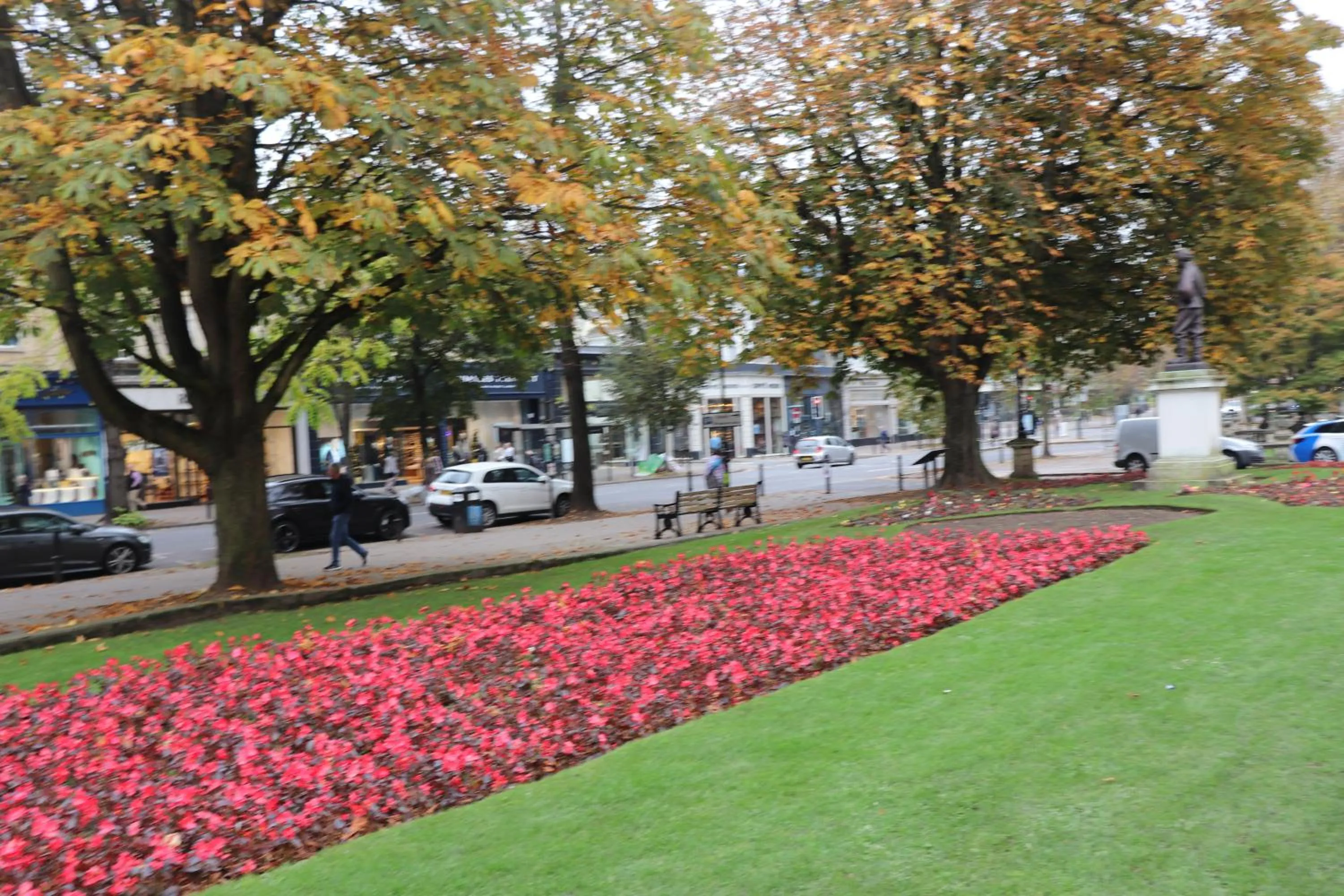 Garden view in Rooms on The Prom
