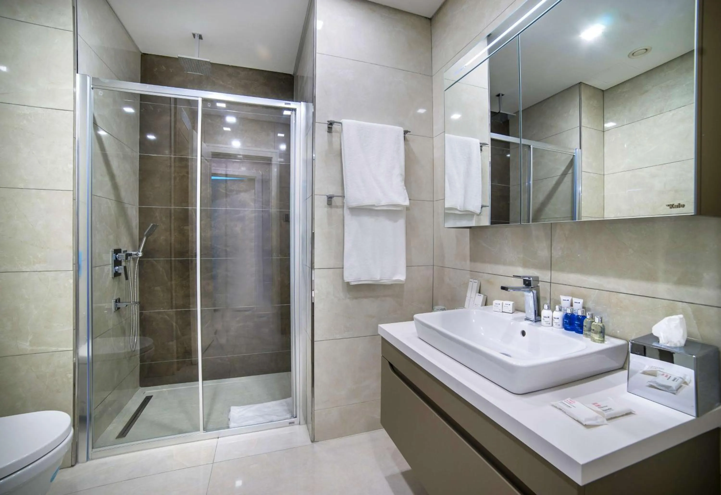 Bathroom in Radisson Residences Vadistanbul