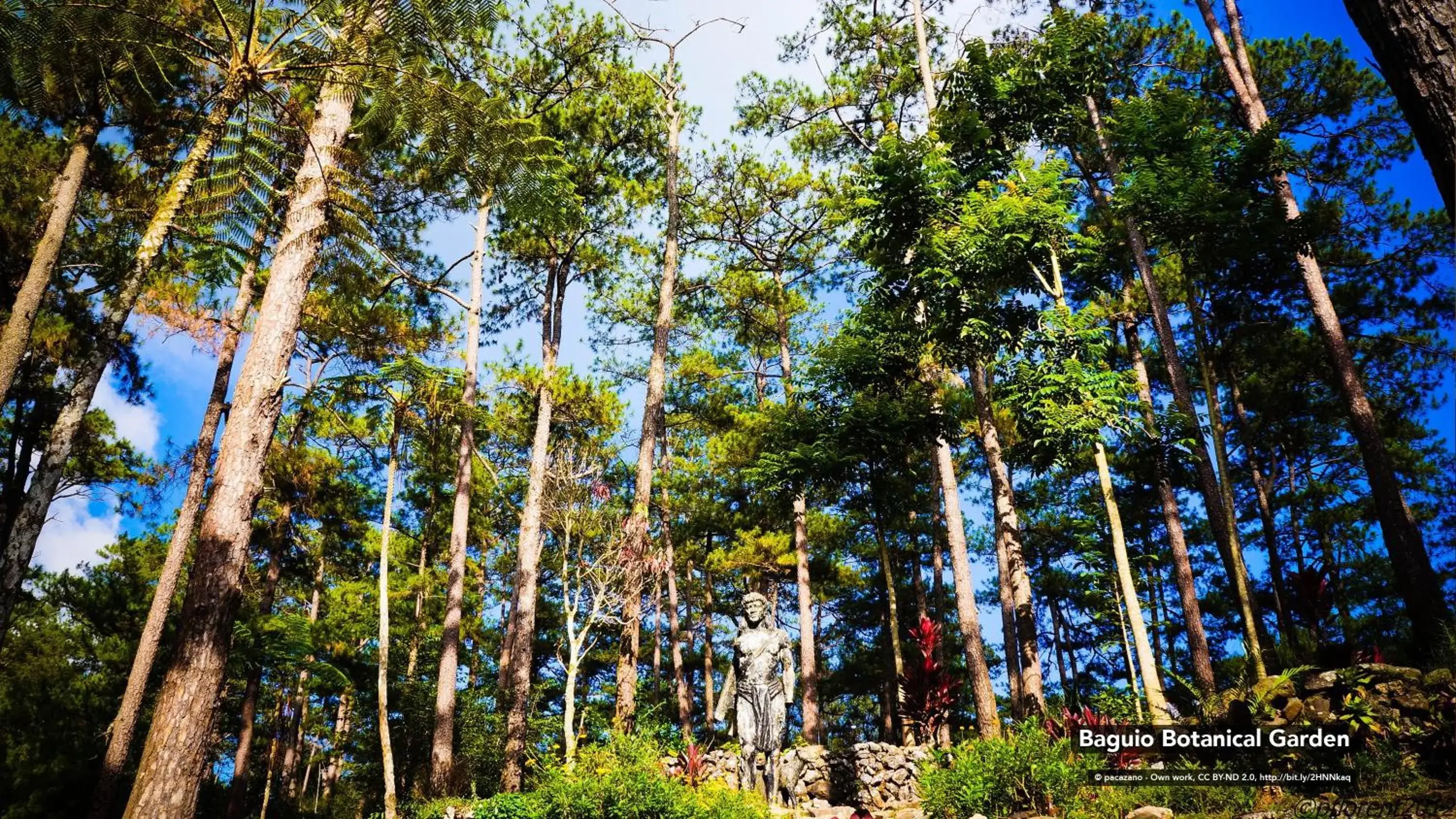 Nearby landmark in South Drive Baguio Manor