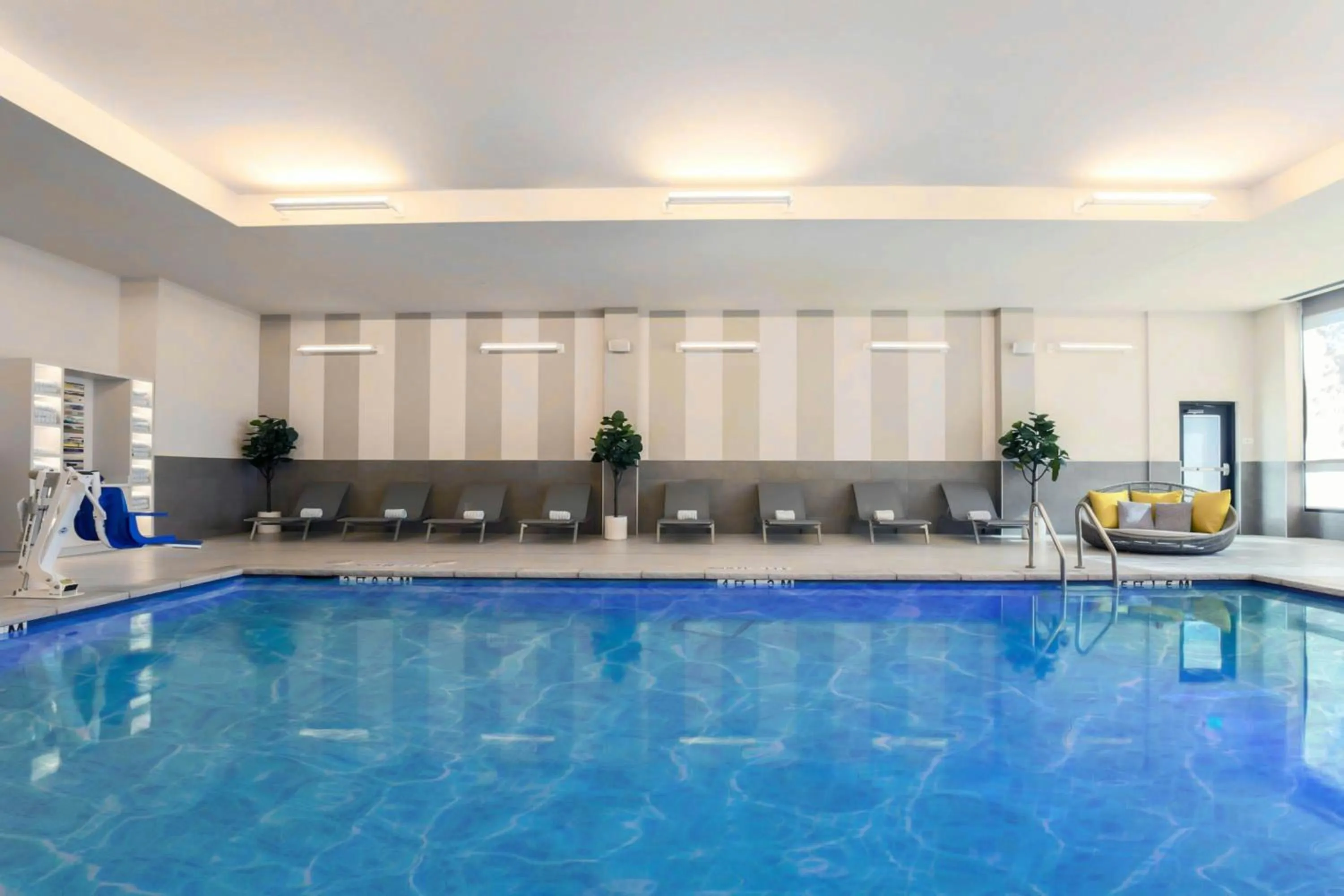 Swimming pool in AC Hotel by Marriott Dallas Frisco