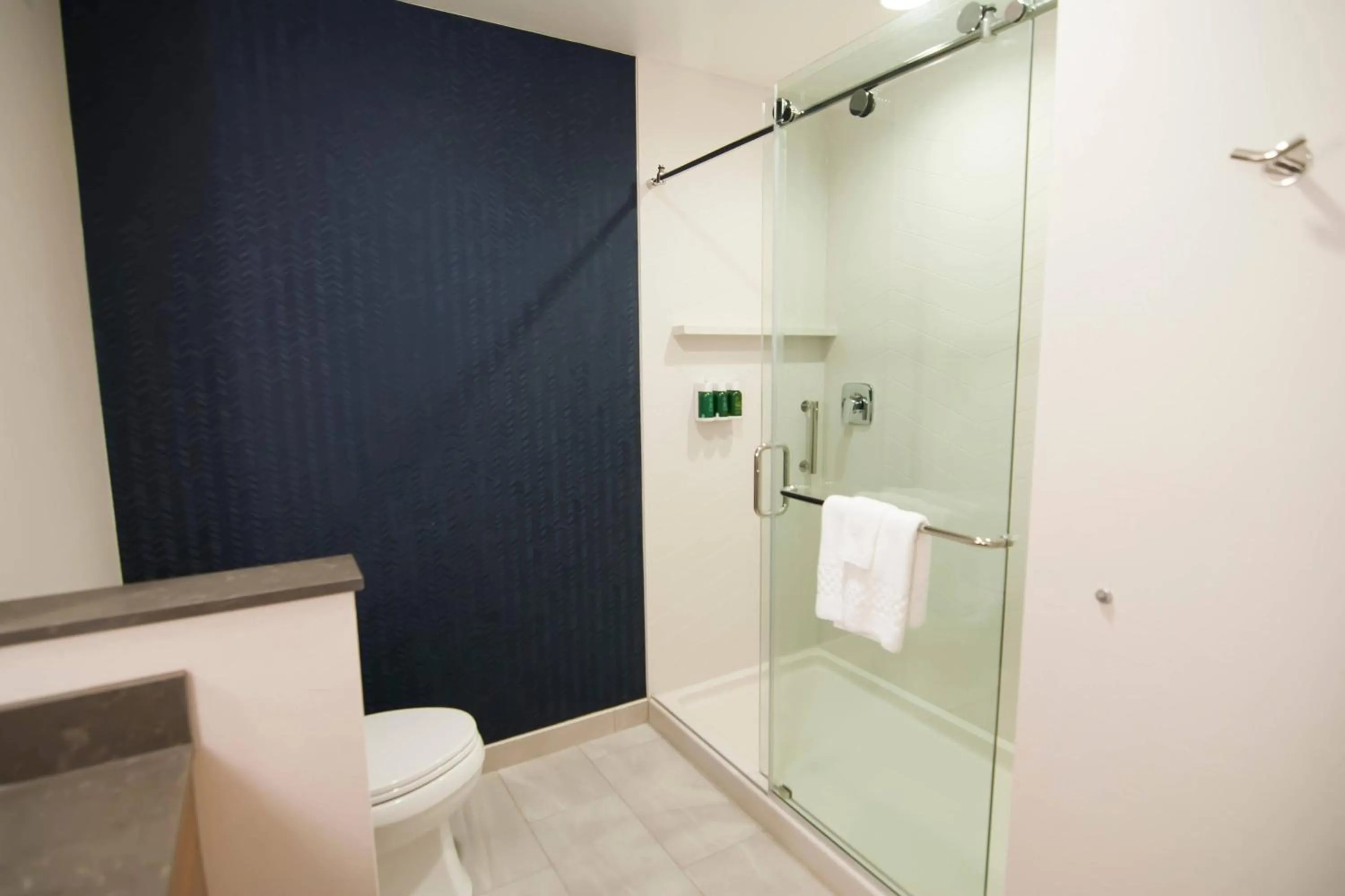 Bathroom in Fairfield Inn & Suites Winona