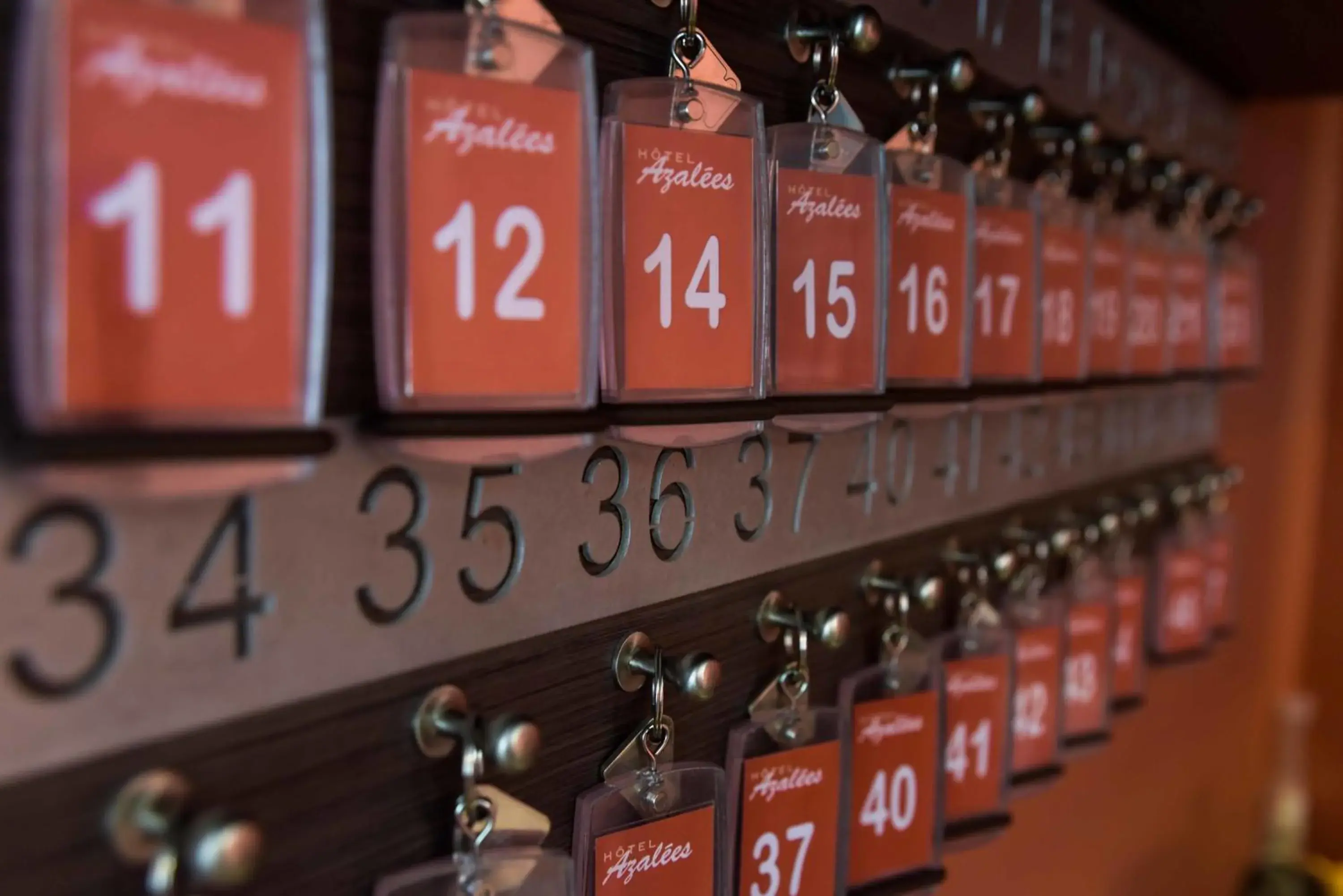 Text overlay in Logis Hôtel Restaurant Azalées Text overlay in Logis Hôtel Restaurant Azalées