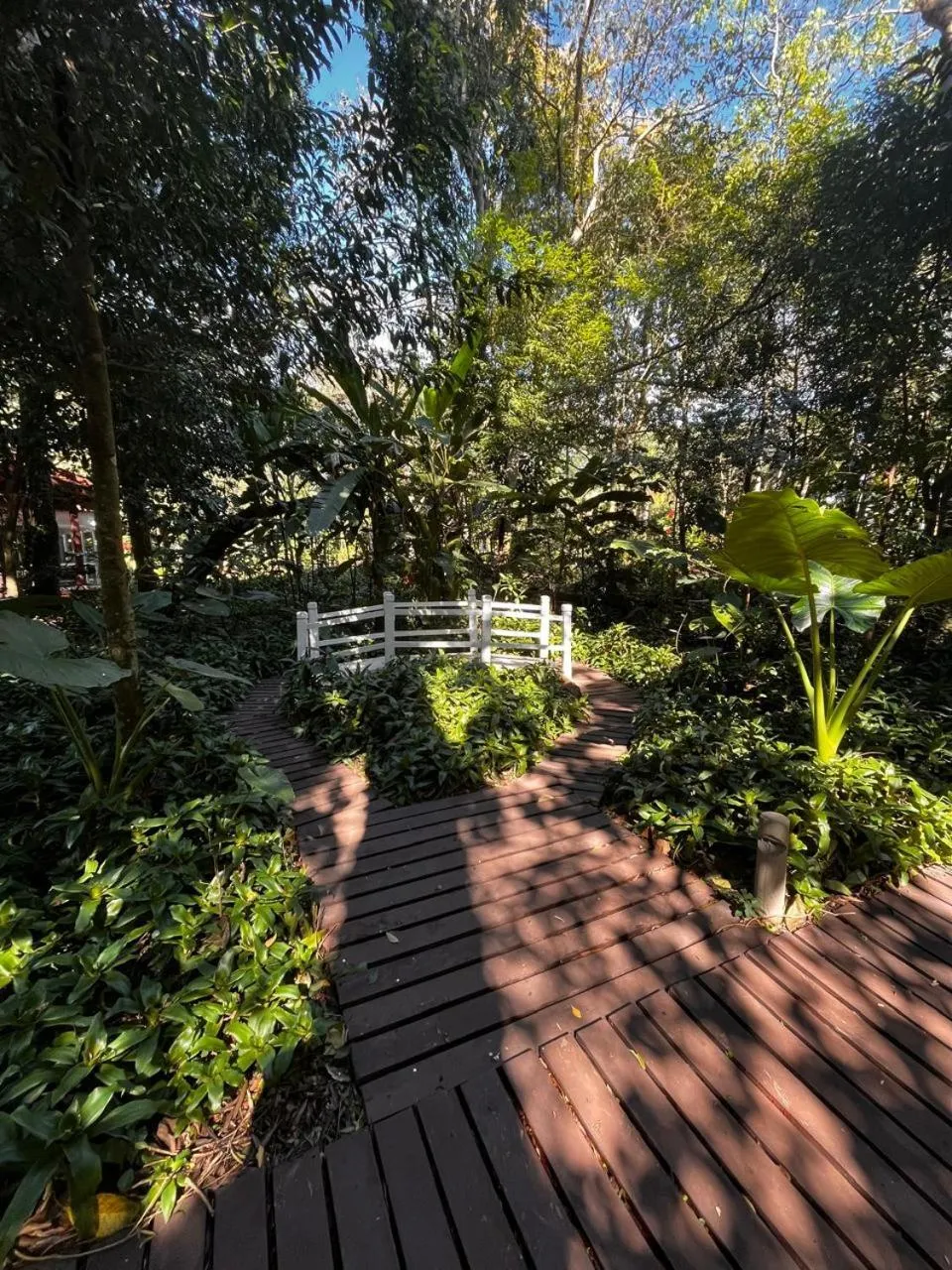 Natural landscape in Village Cataratas