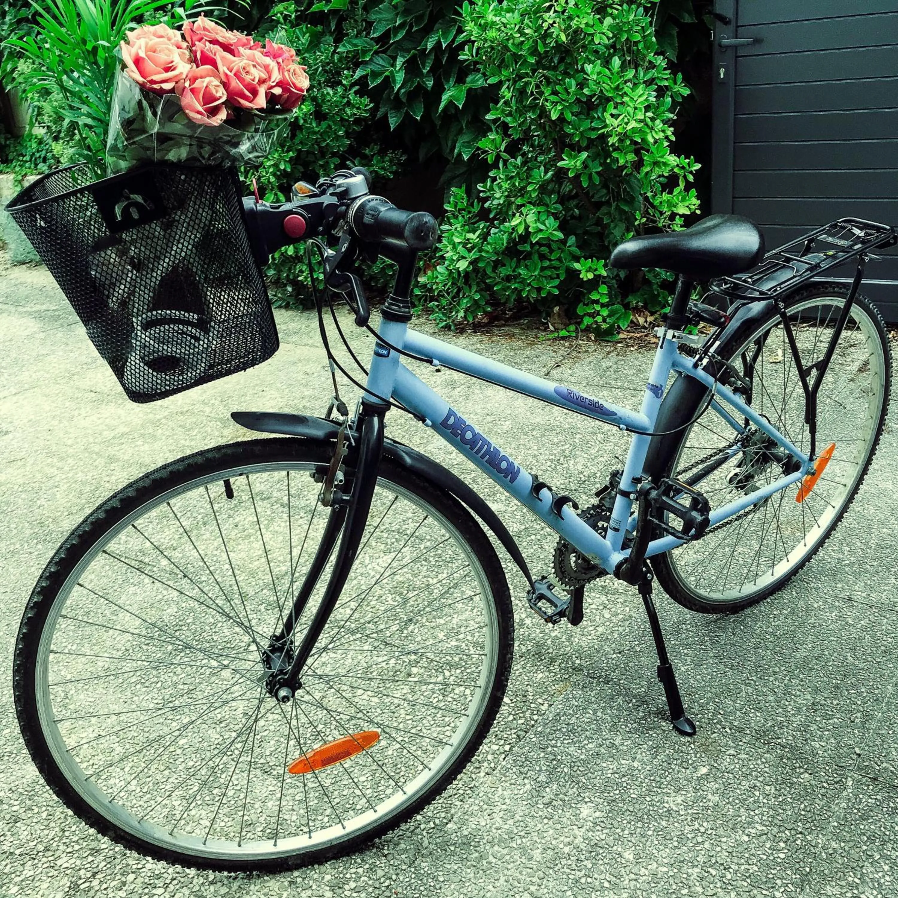 Cycling in La Dormance