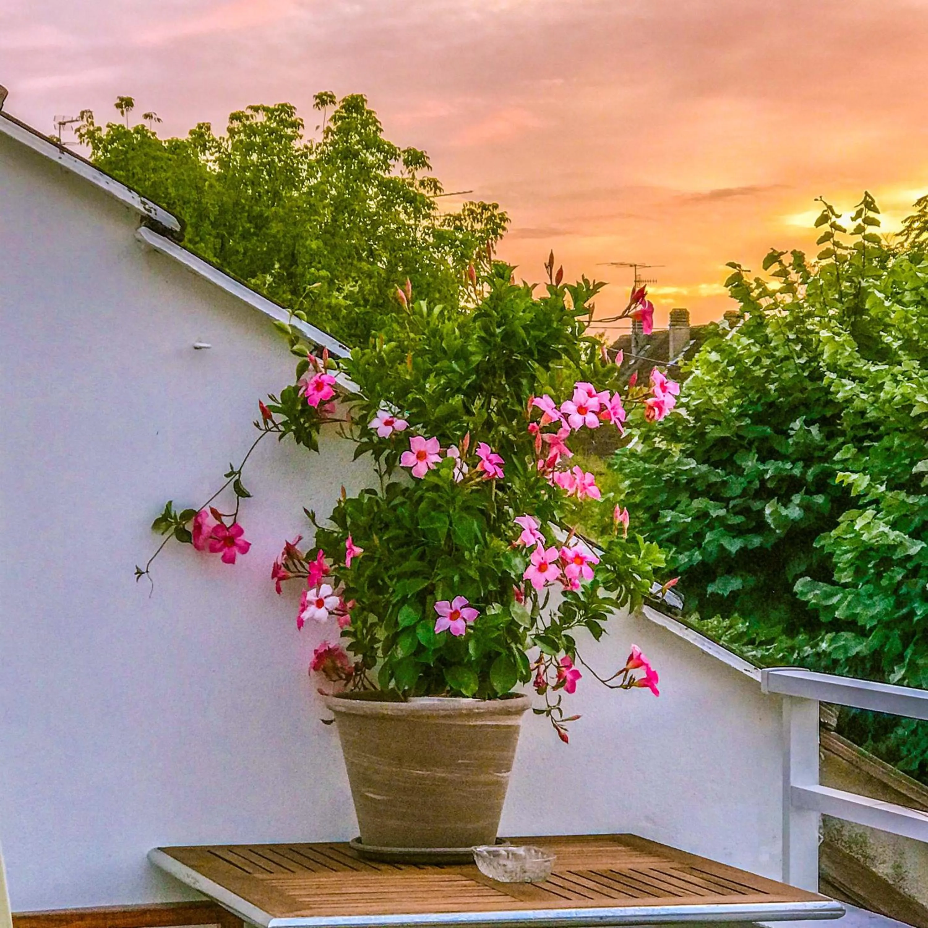 Balcony/Terrace in La Dormance