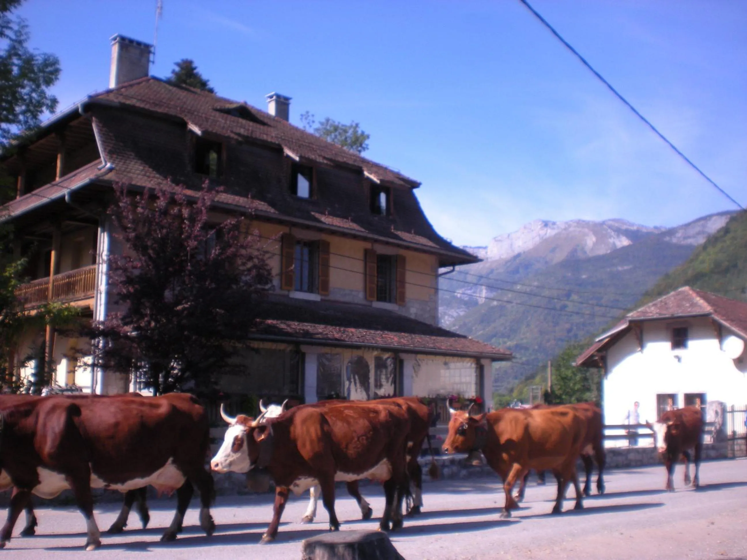 Gîte Les Mésanges