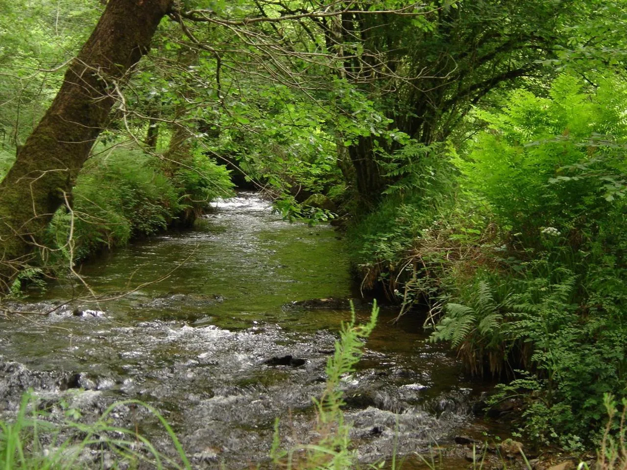 Hiking in La vallée du Rivoal