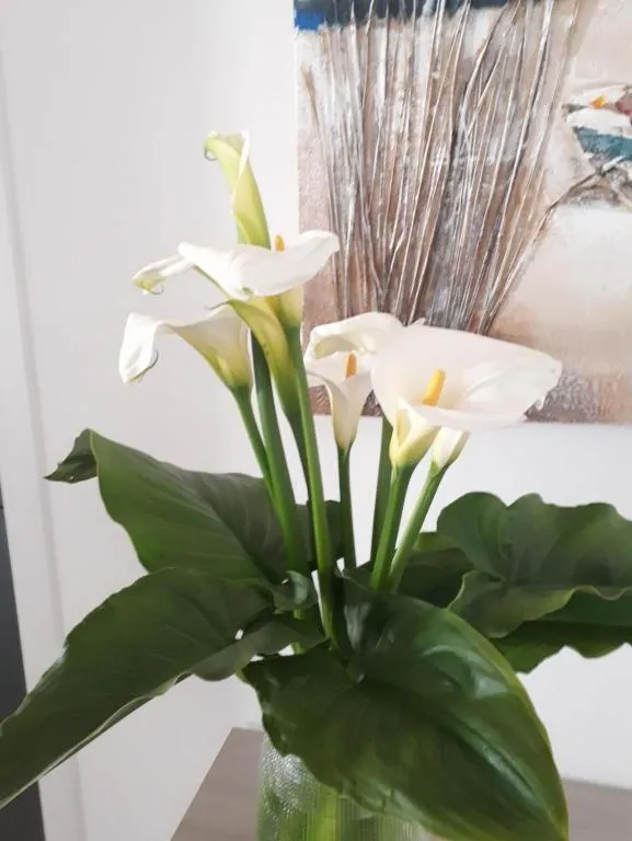 Bed in B&B Civico 11