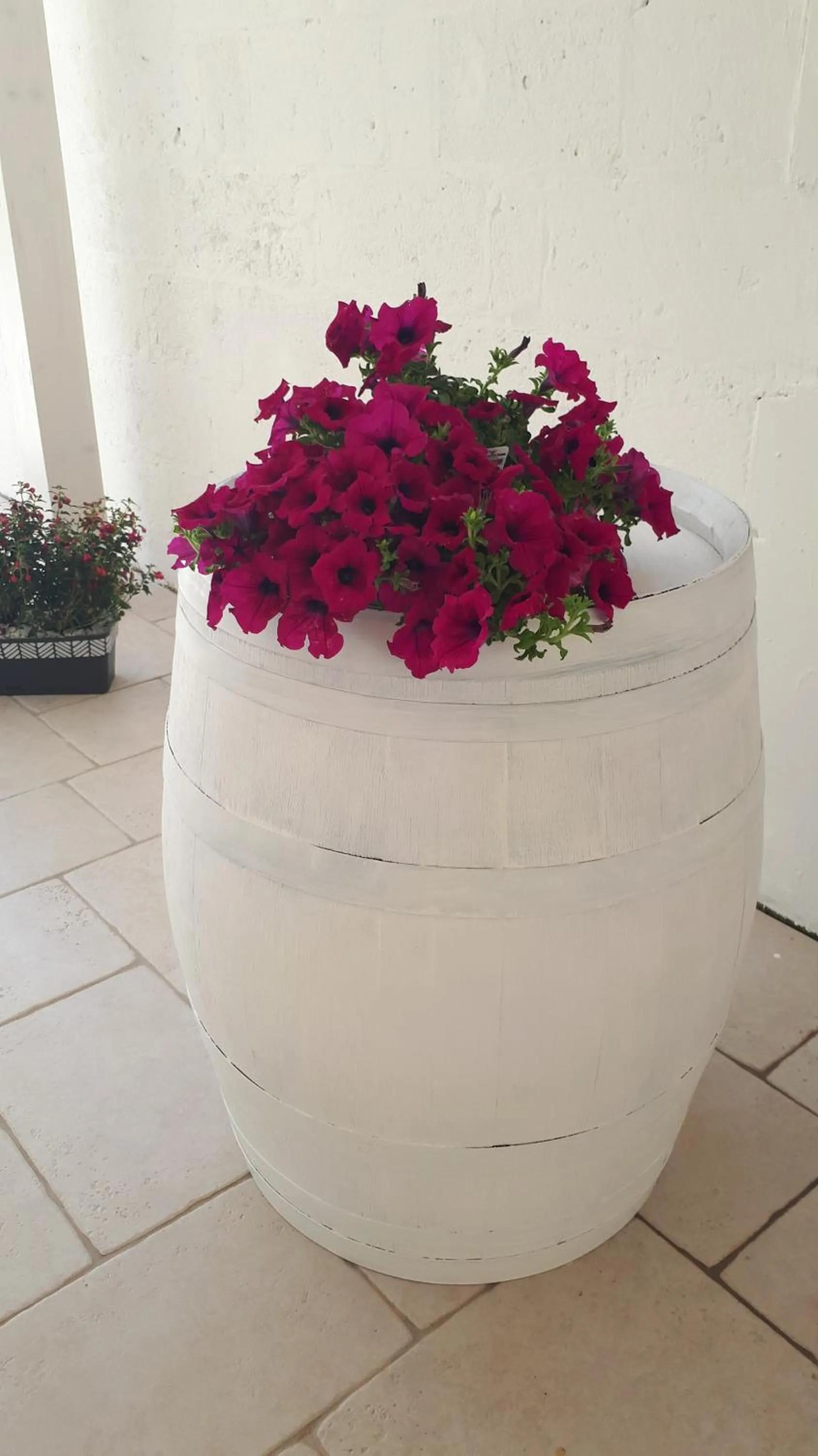 Property building in B&B Civico 11