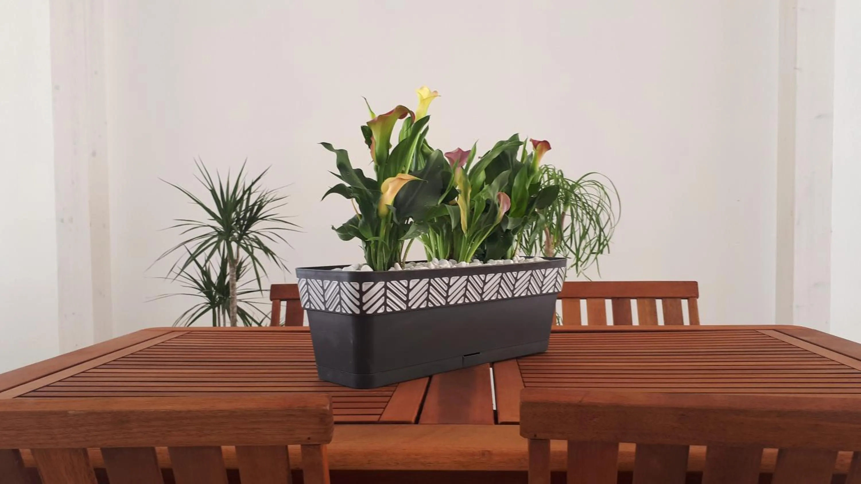 Property building in B&B Civico 11