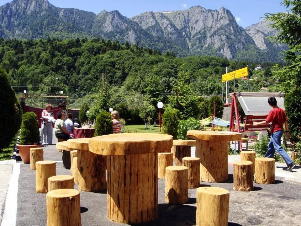 Garden in Complex Mona Caraiman