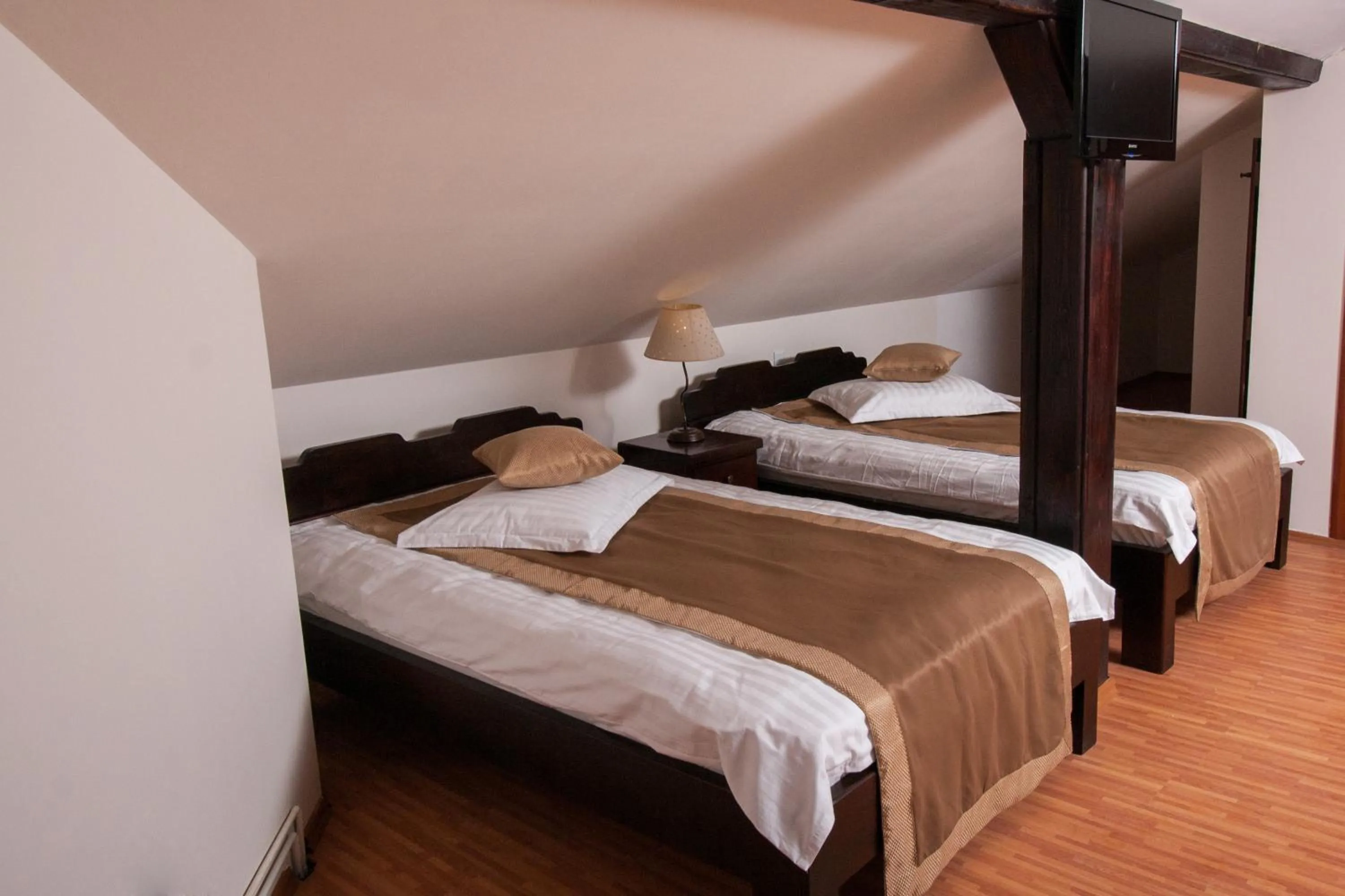 Complex Mona Caraiman