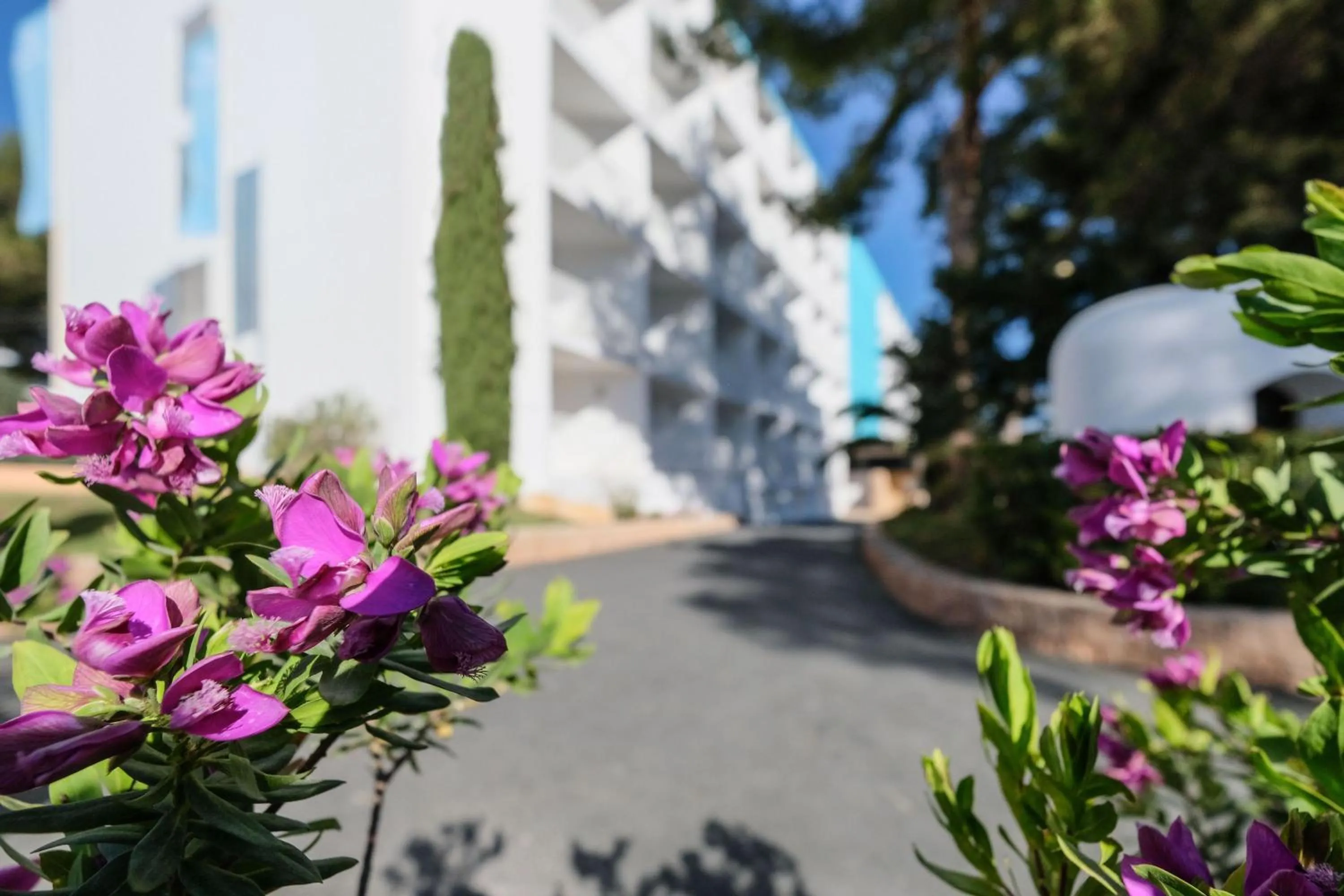 Other in azuLine Hoteles Mar Amantis & II