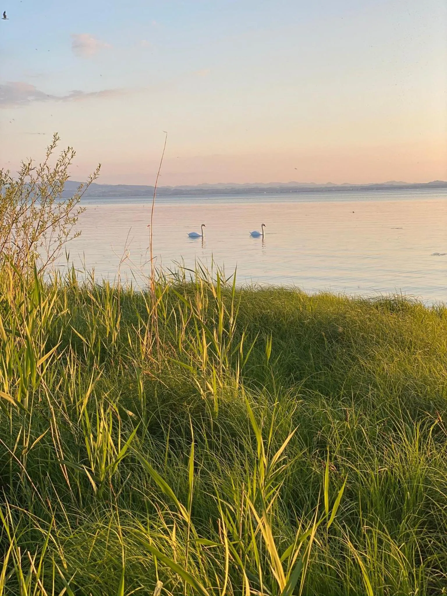 Ferien-Apartment Haubentaucher - mit priv Strandzugang