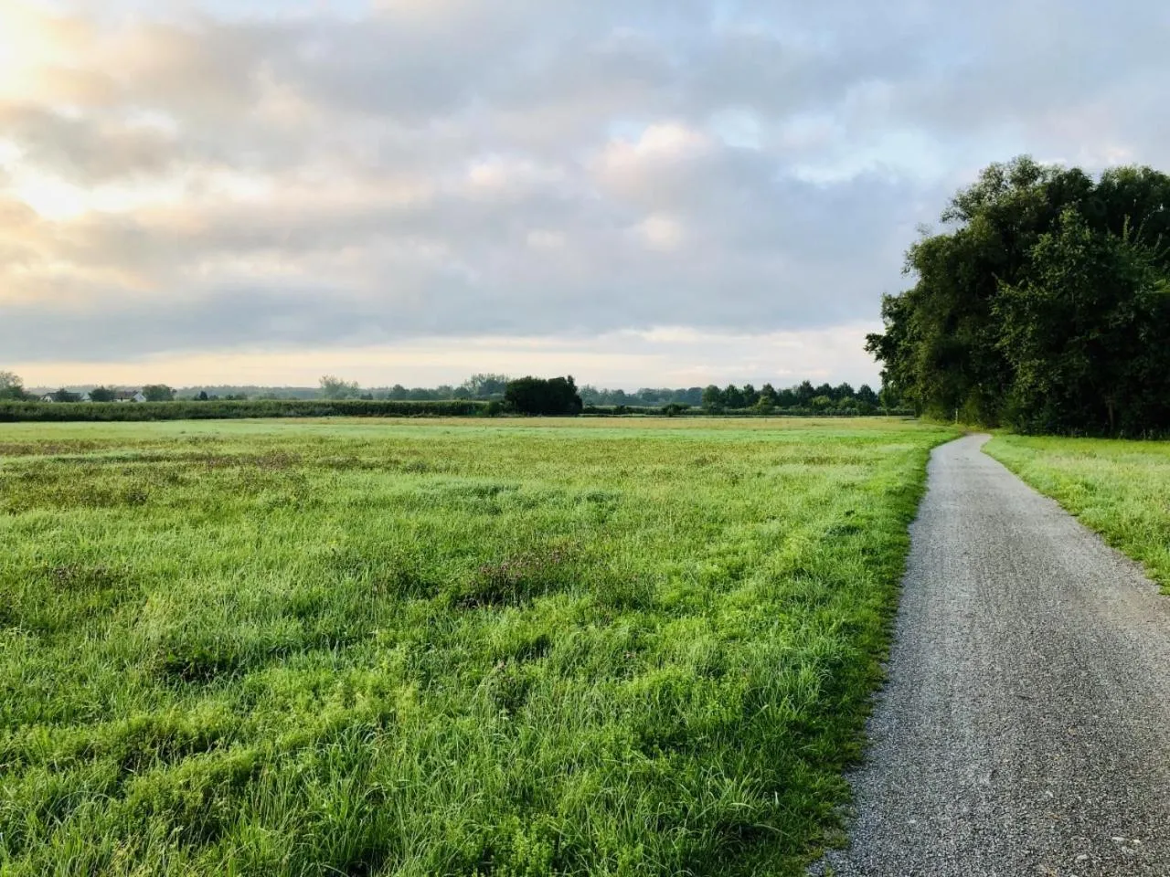 Natural landscape in Ferien-Apartment Haubentaucher - mit priv Strandzugang