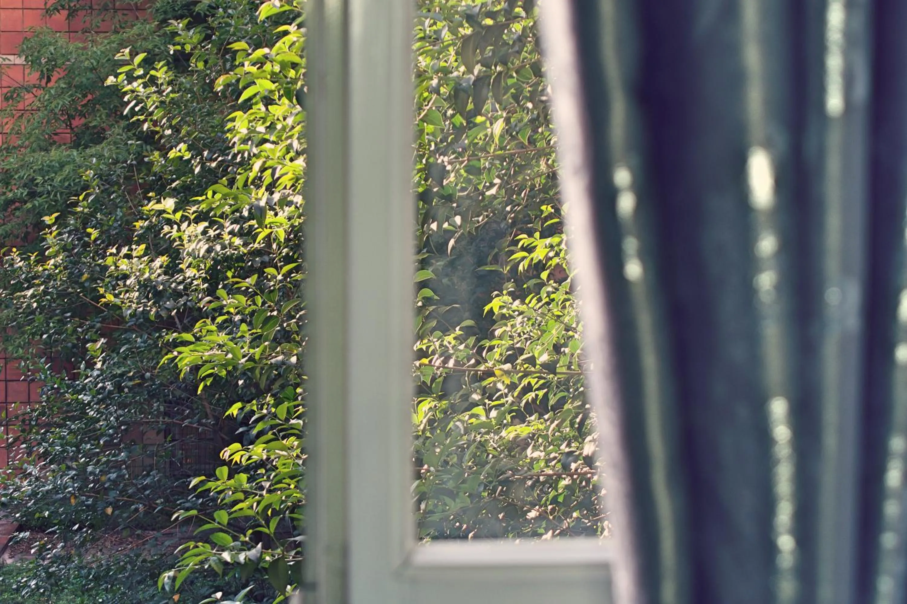 Property building in L'Antenna