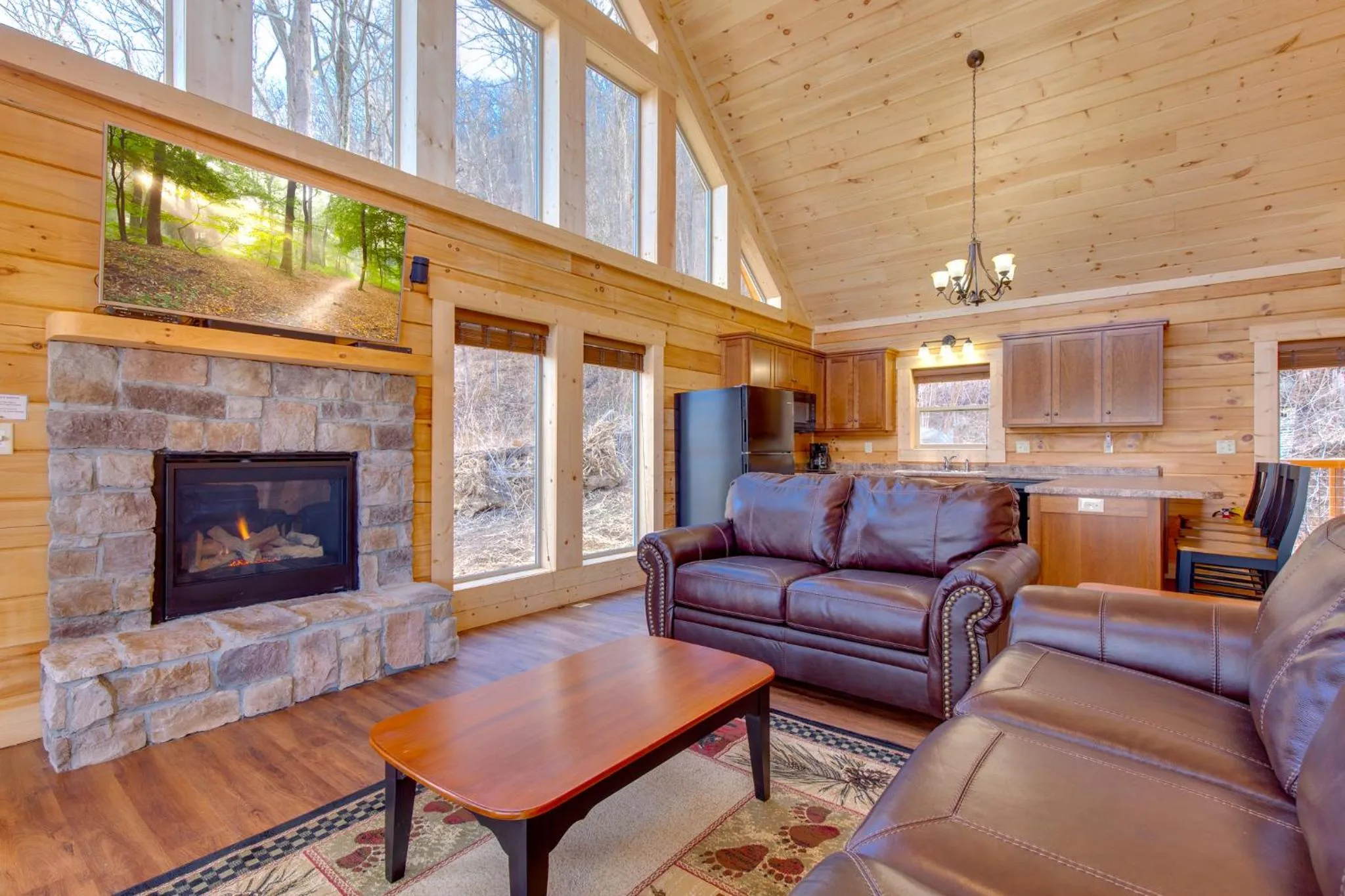 Living room in Back to Nature