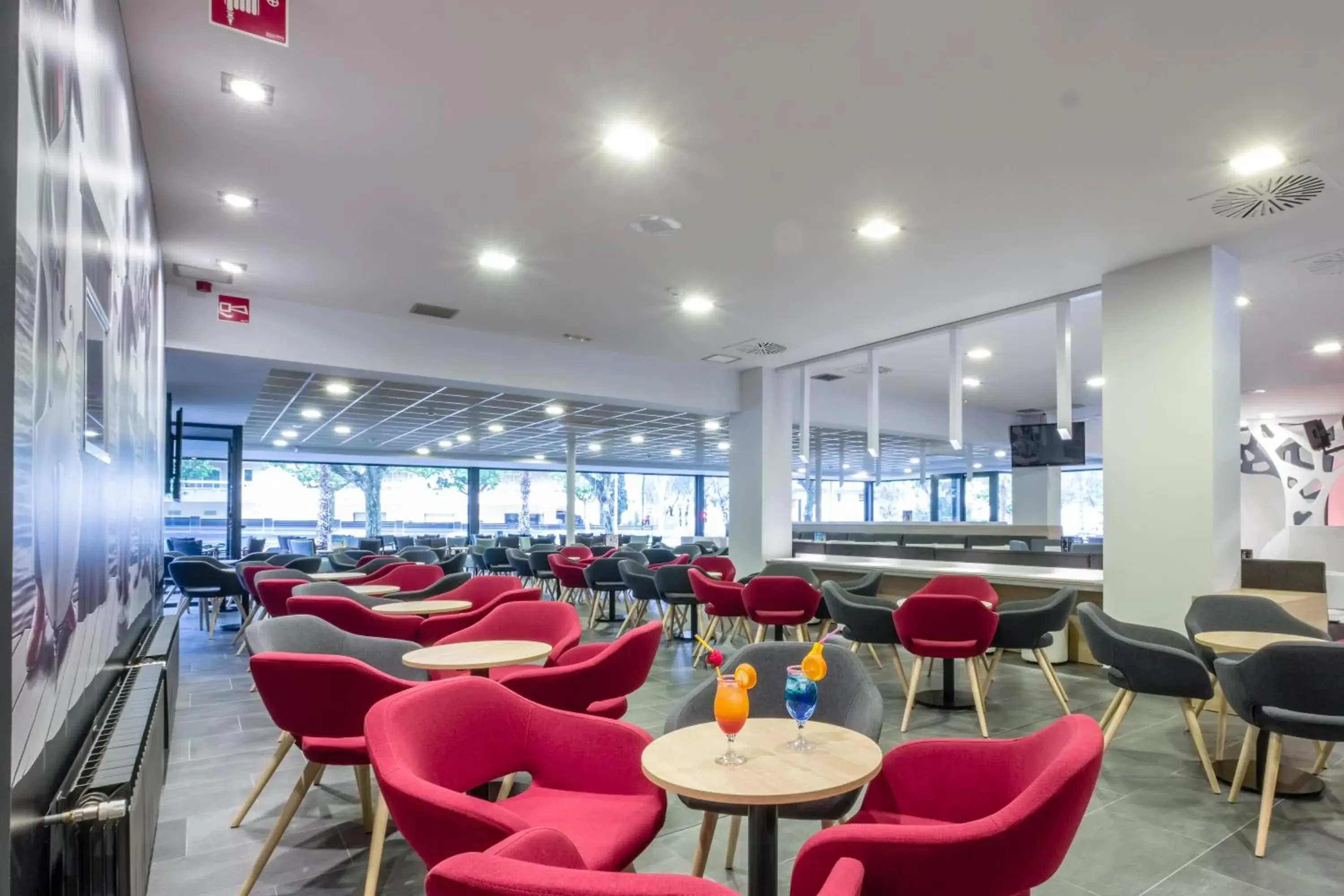 Lounge or bar in Hotel California Garden Lounge or bar in Hotel California Garden