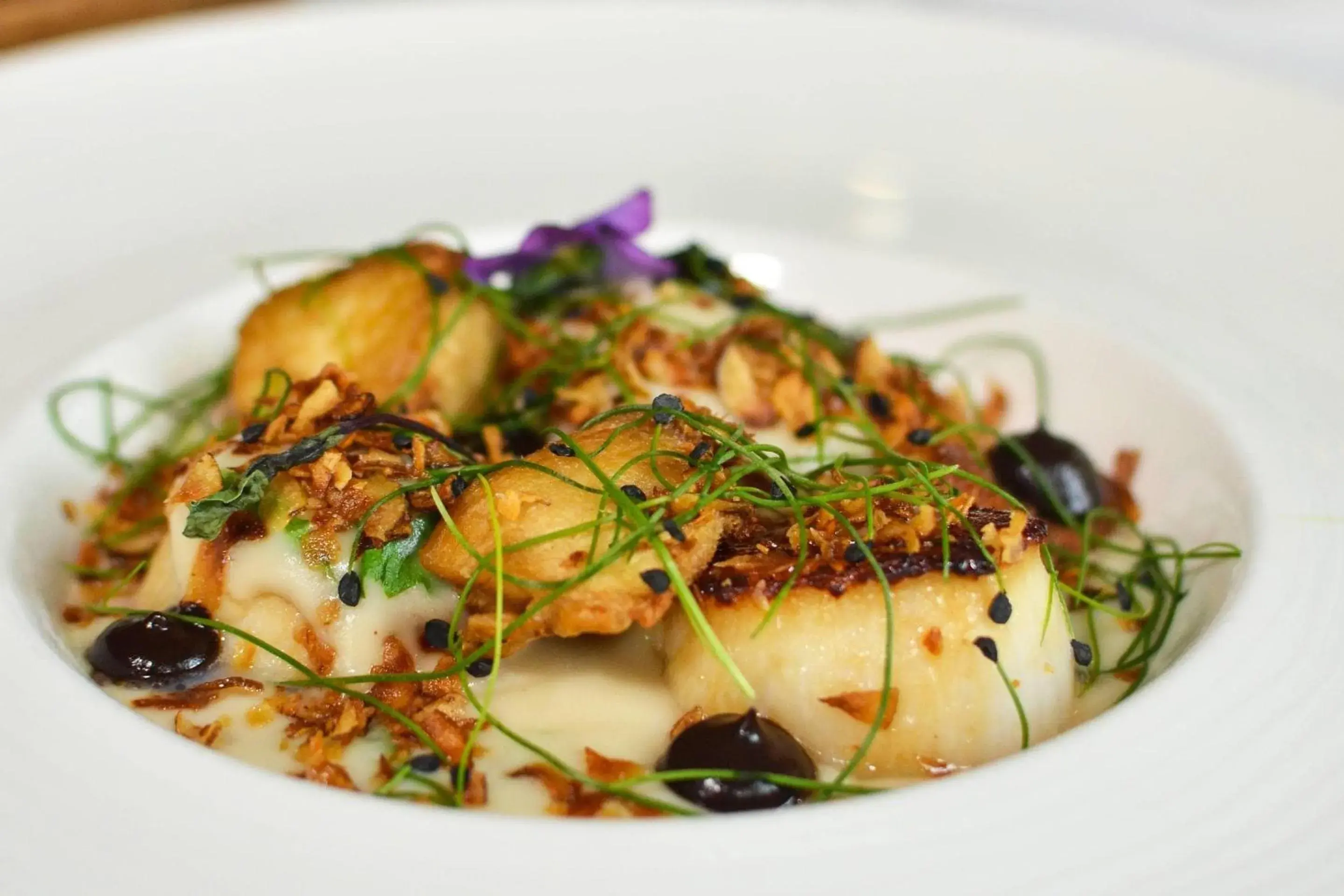 Restaurant/places to eat in The Peacock Inn, an Ascend Collection Hotel Restaurant/places to eat in The Peacock Inn, an Ascend Collection Hotel