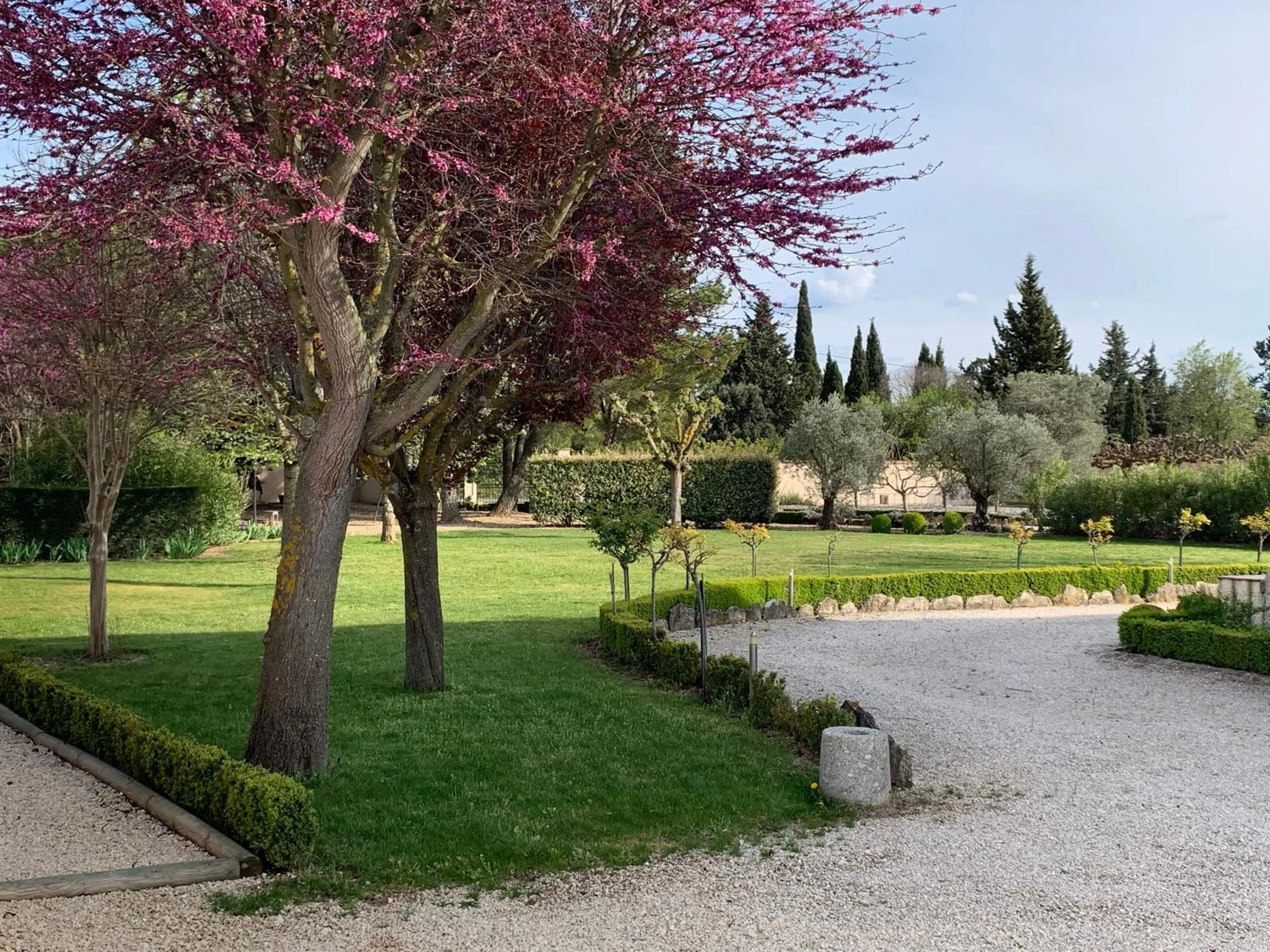 Spring in Domaine Des Écureuils