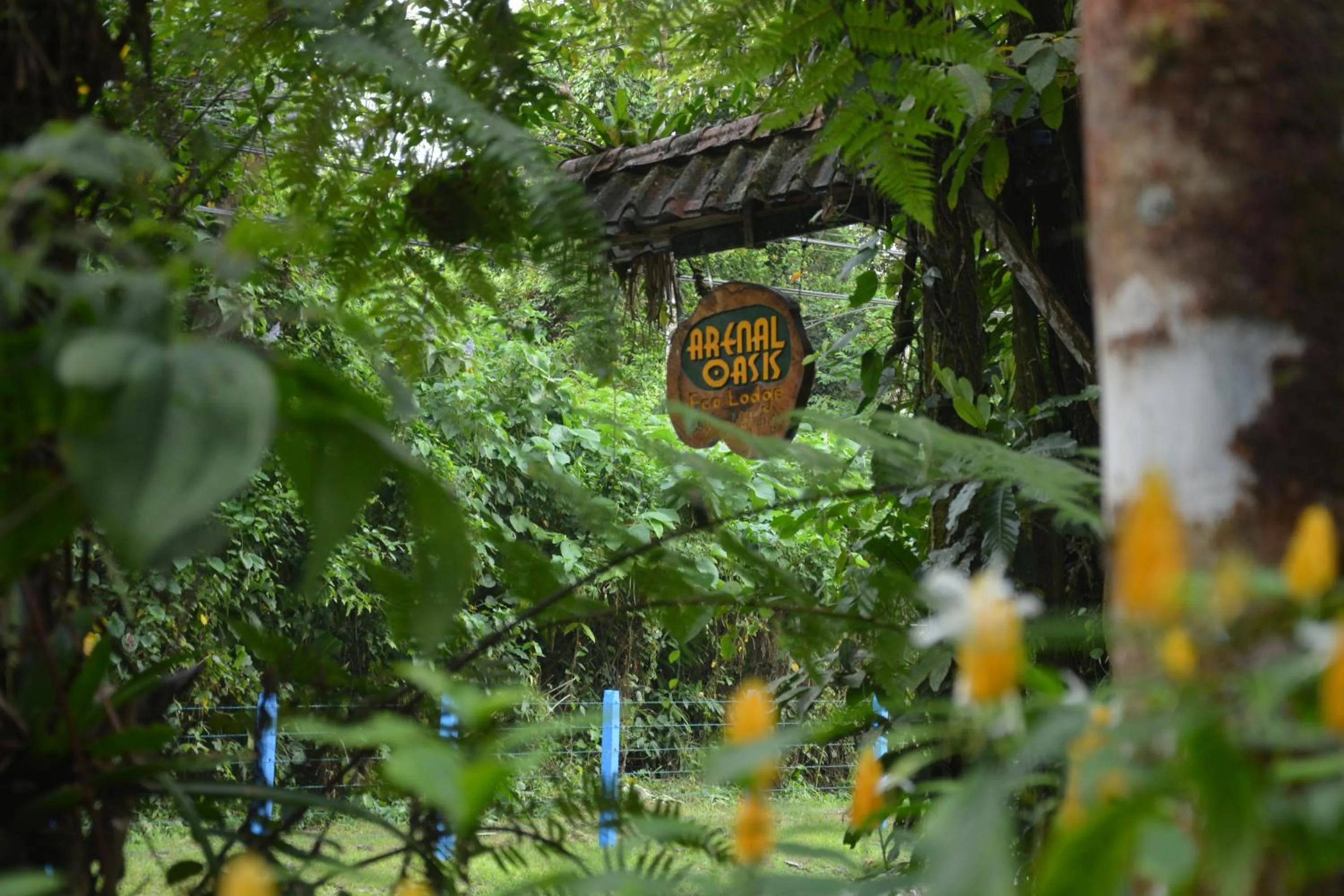 Garden in Arenal Oasis Eco Lodge & Wildlife Refuge