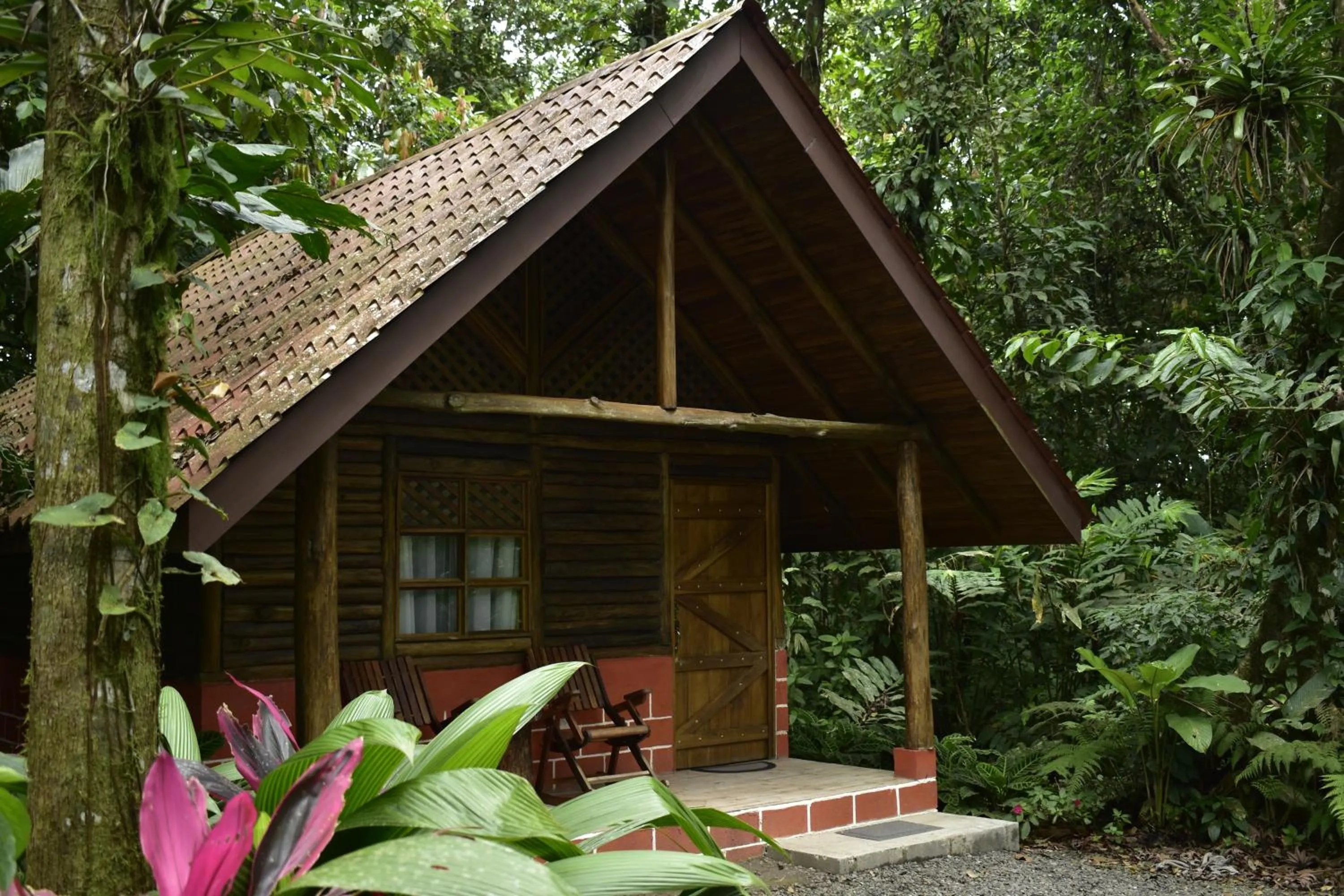 Photo of the whole room in Arenal Oasis Eco Lodge & Wildlife Refuge