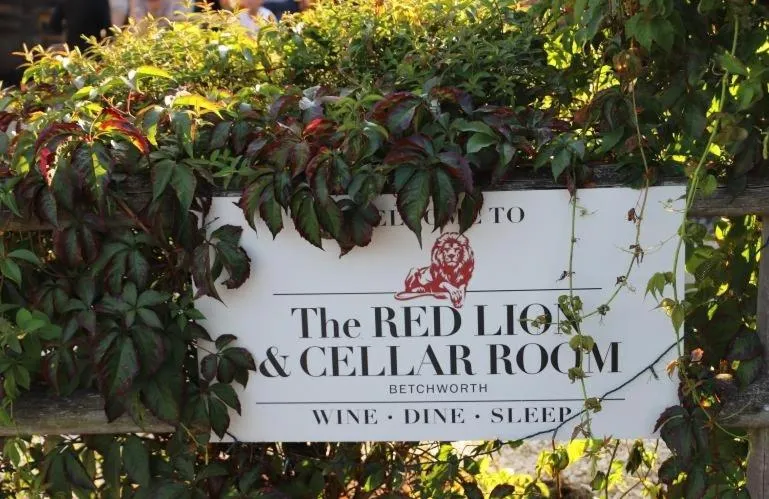 Garden in The Red Lion & Cellar Room, Betchworth