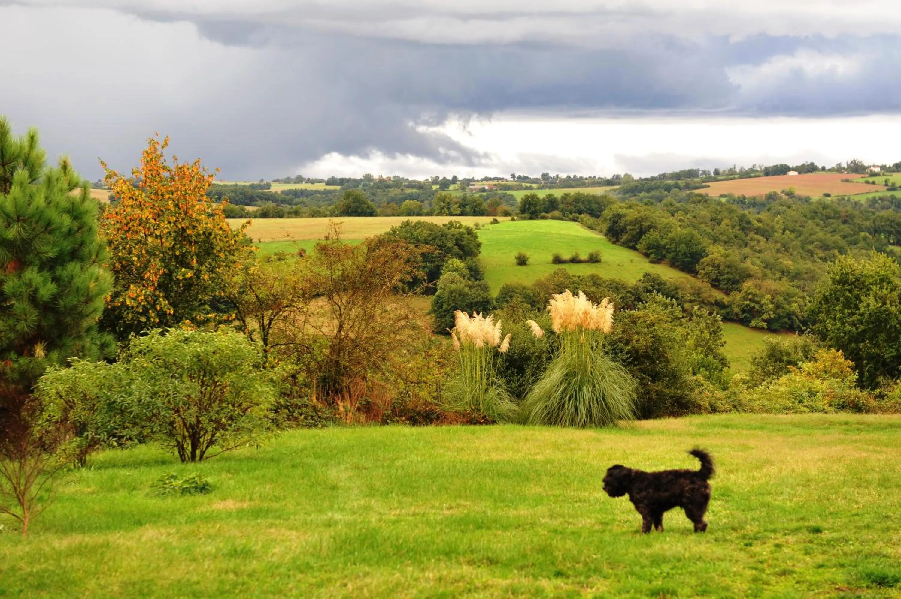 Natural landscape in Chambres d'Hôtes Le Puits d'Amour