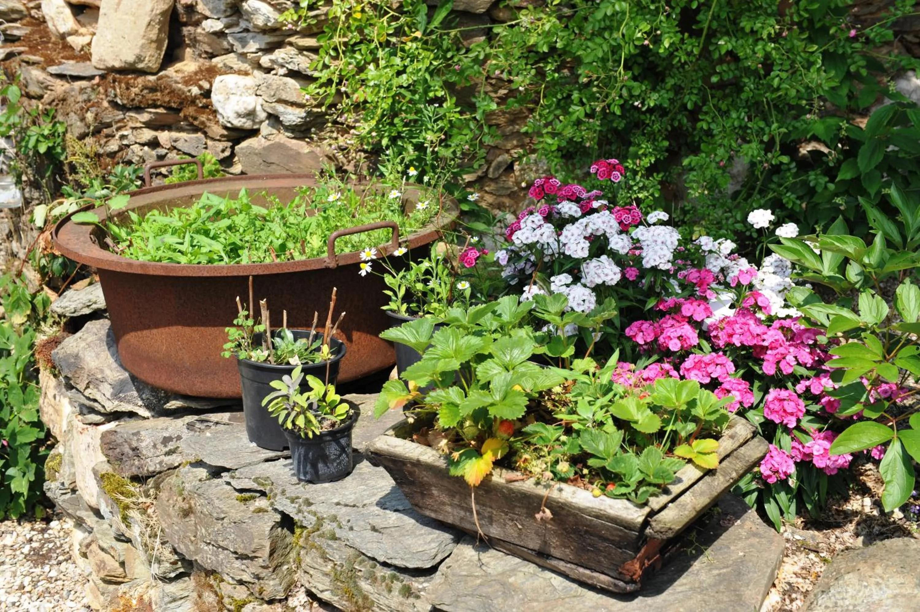 Garden in Chambres d'Hôtes Le Puits d'Amour