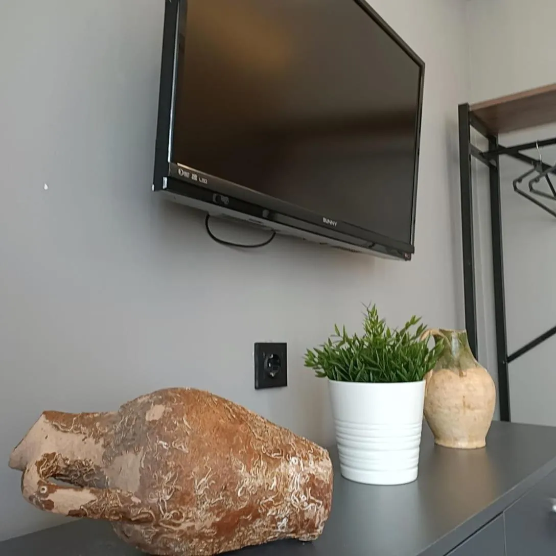 TV and multimedia in Basilica Guest House