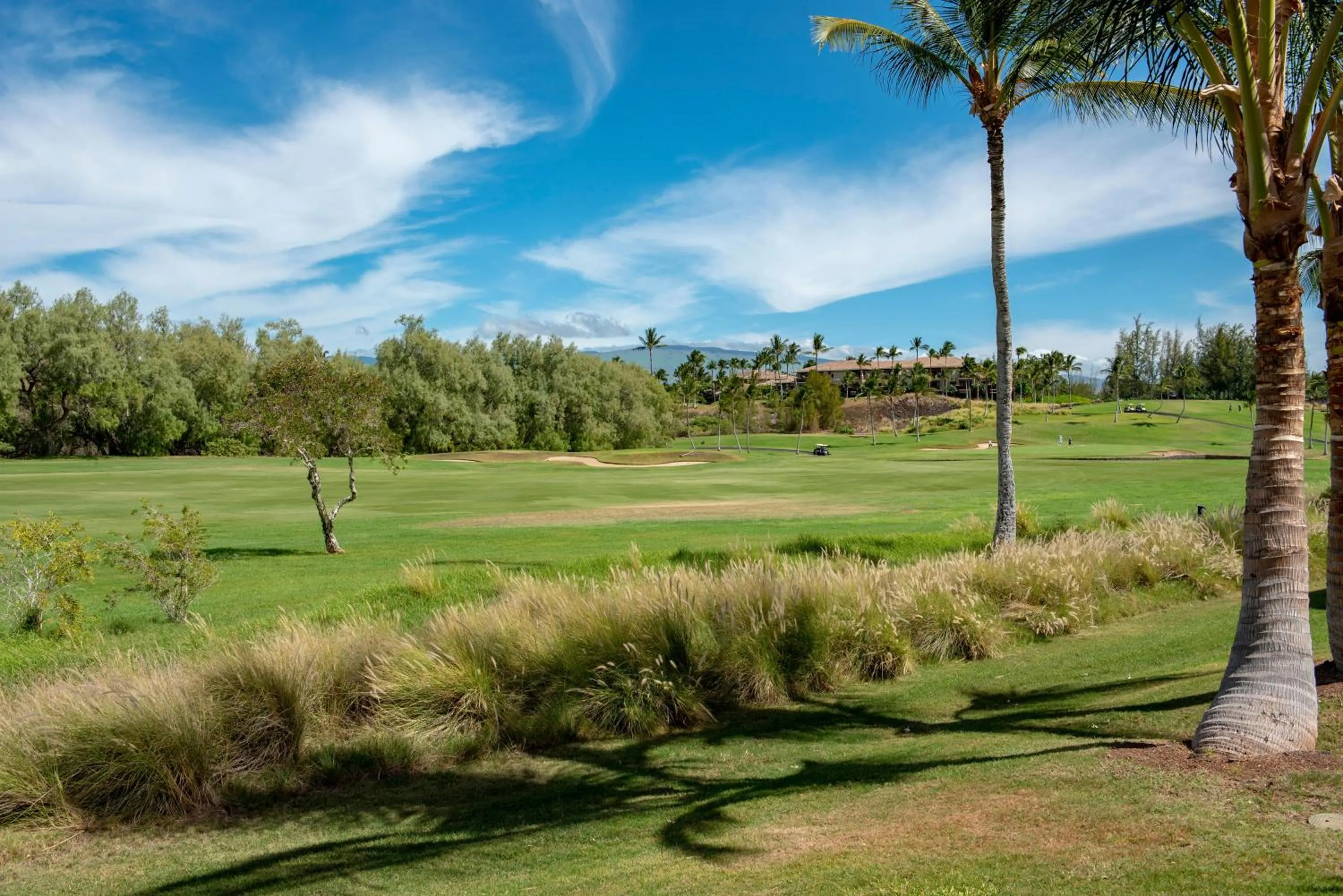 Fairway Villas Waikoloa F6