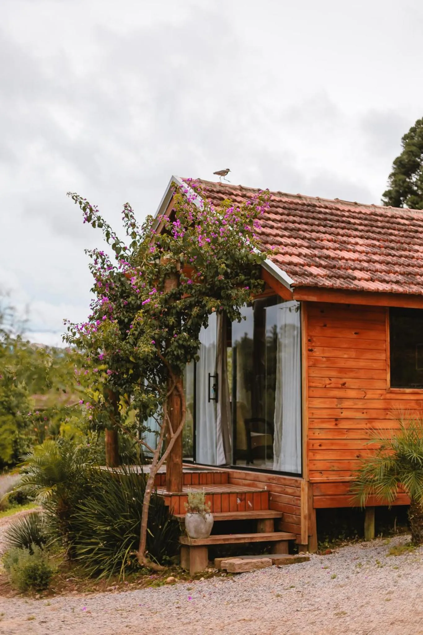 Property building in Afeto Pousada