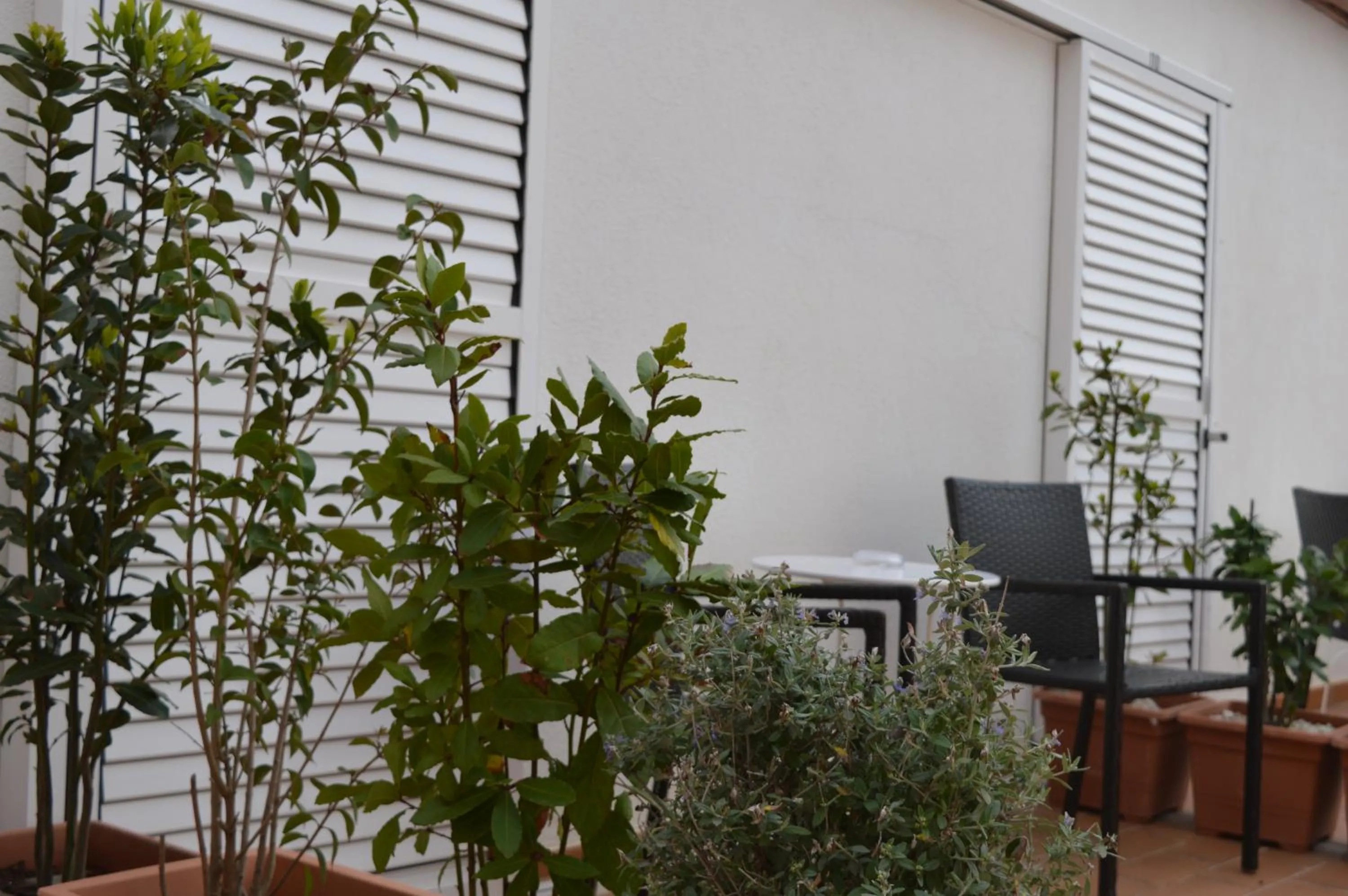 Balcony/Terrace in Hotel Nou Estrelles