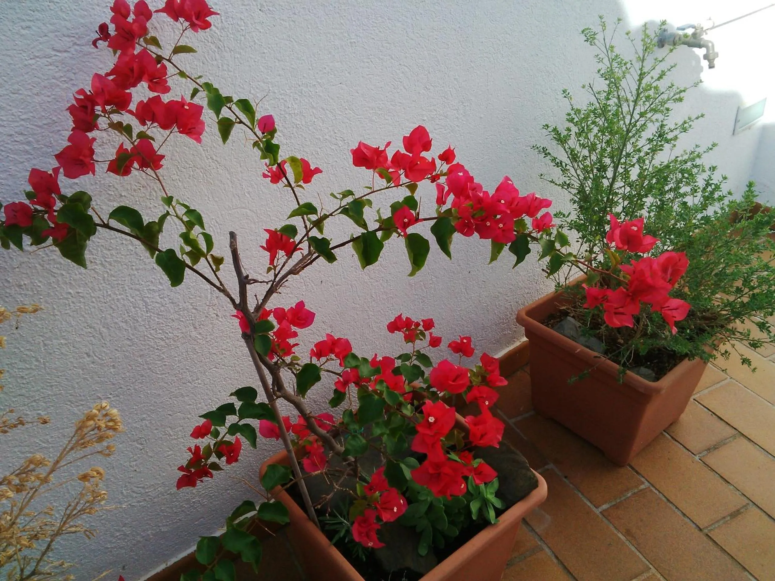 Other in Hotel Nou Estrelles