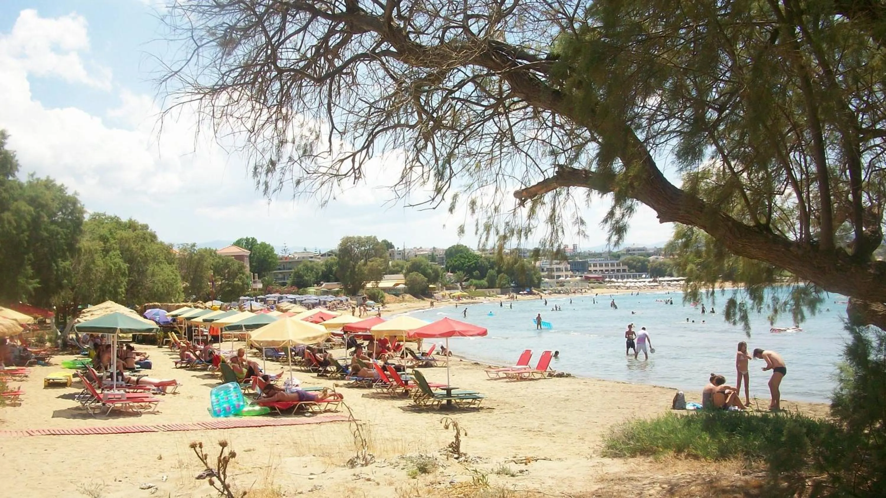 People in Eloque Simple living space