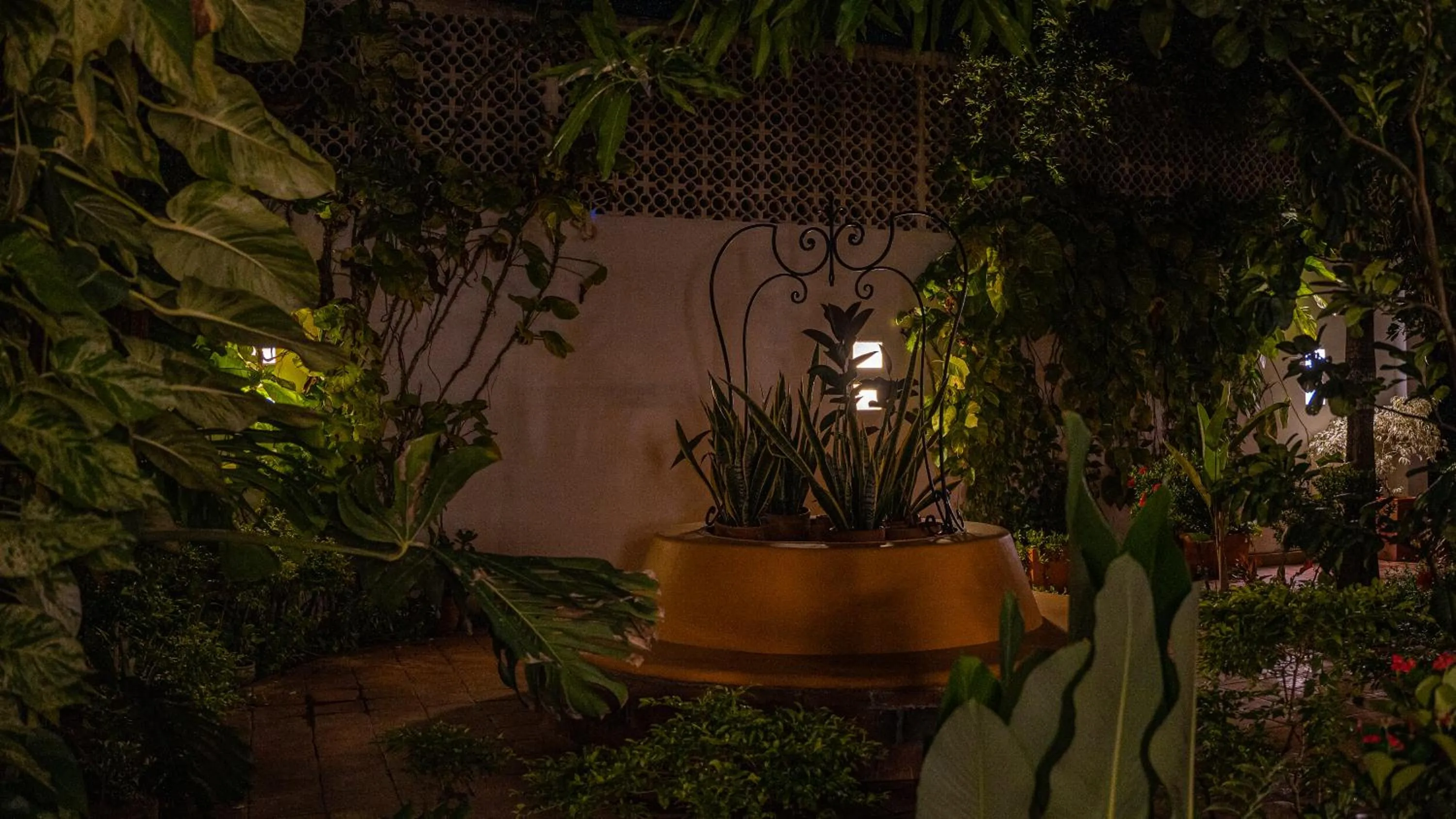 Night in Hotel La Gloria
