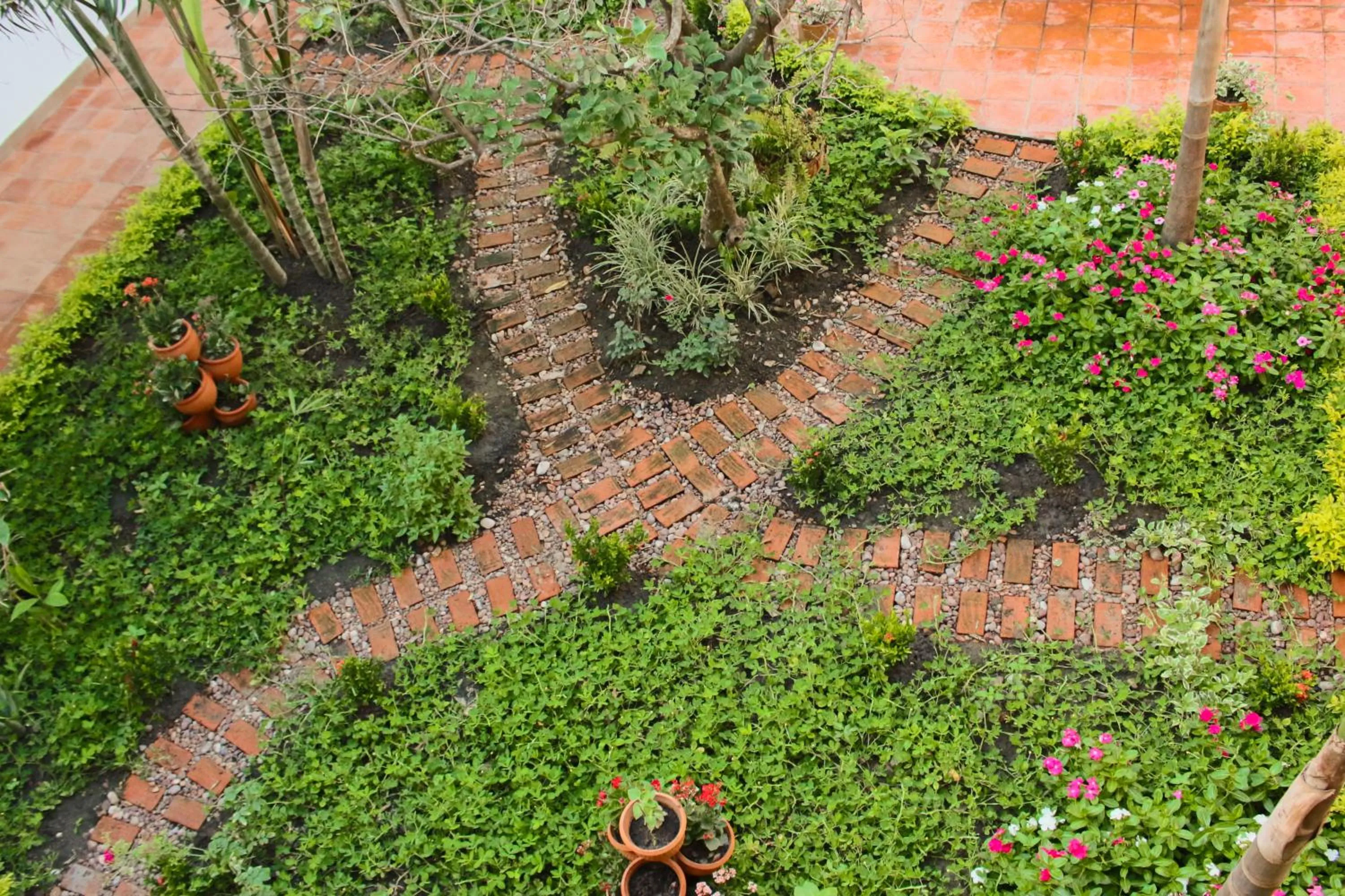 Garden in Hotel La Gloria