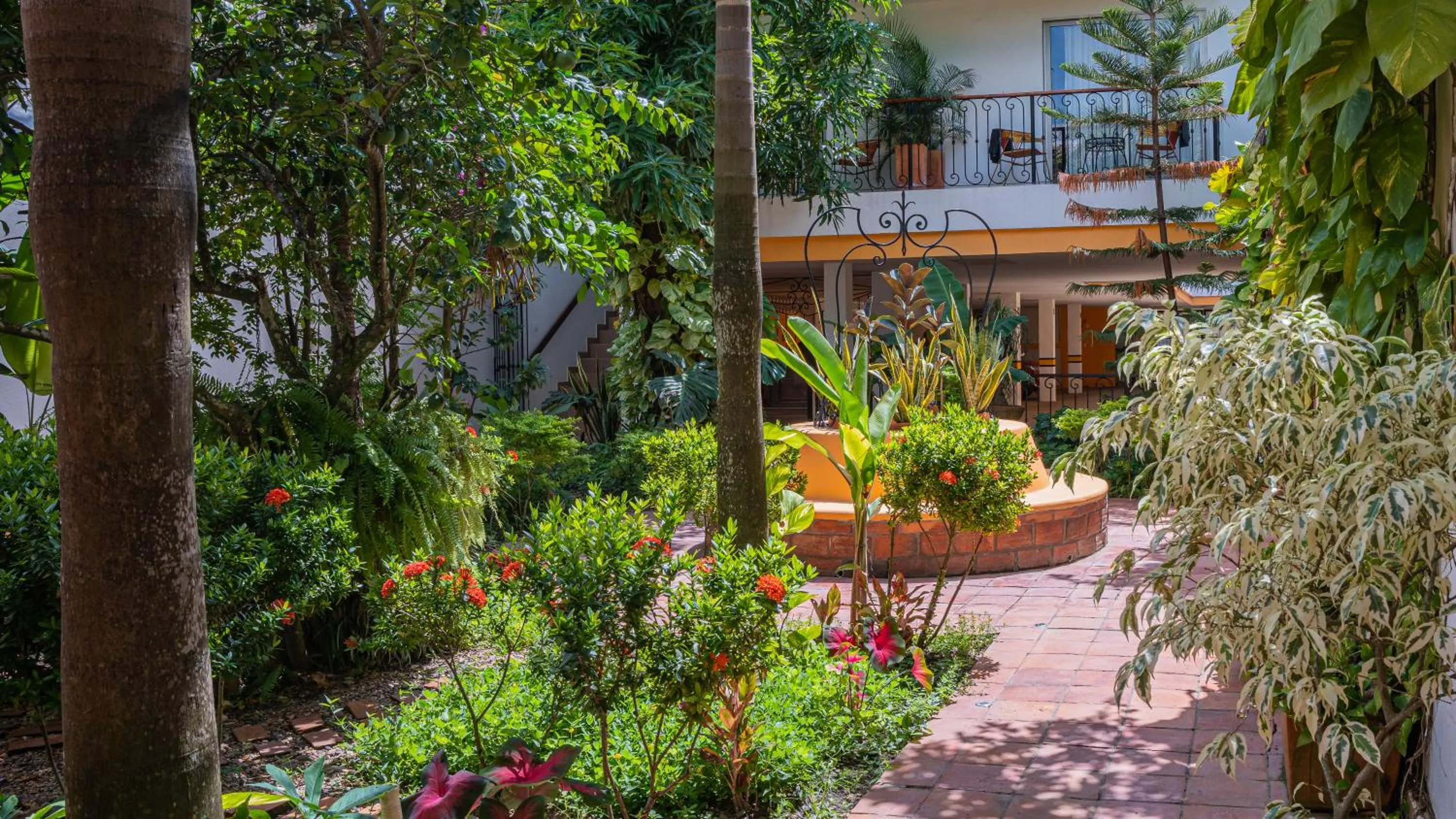 Natural landscape in Hotel La Gloria