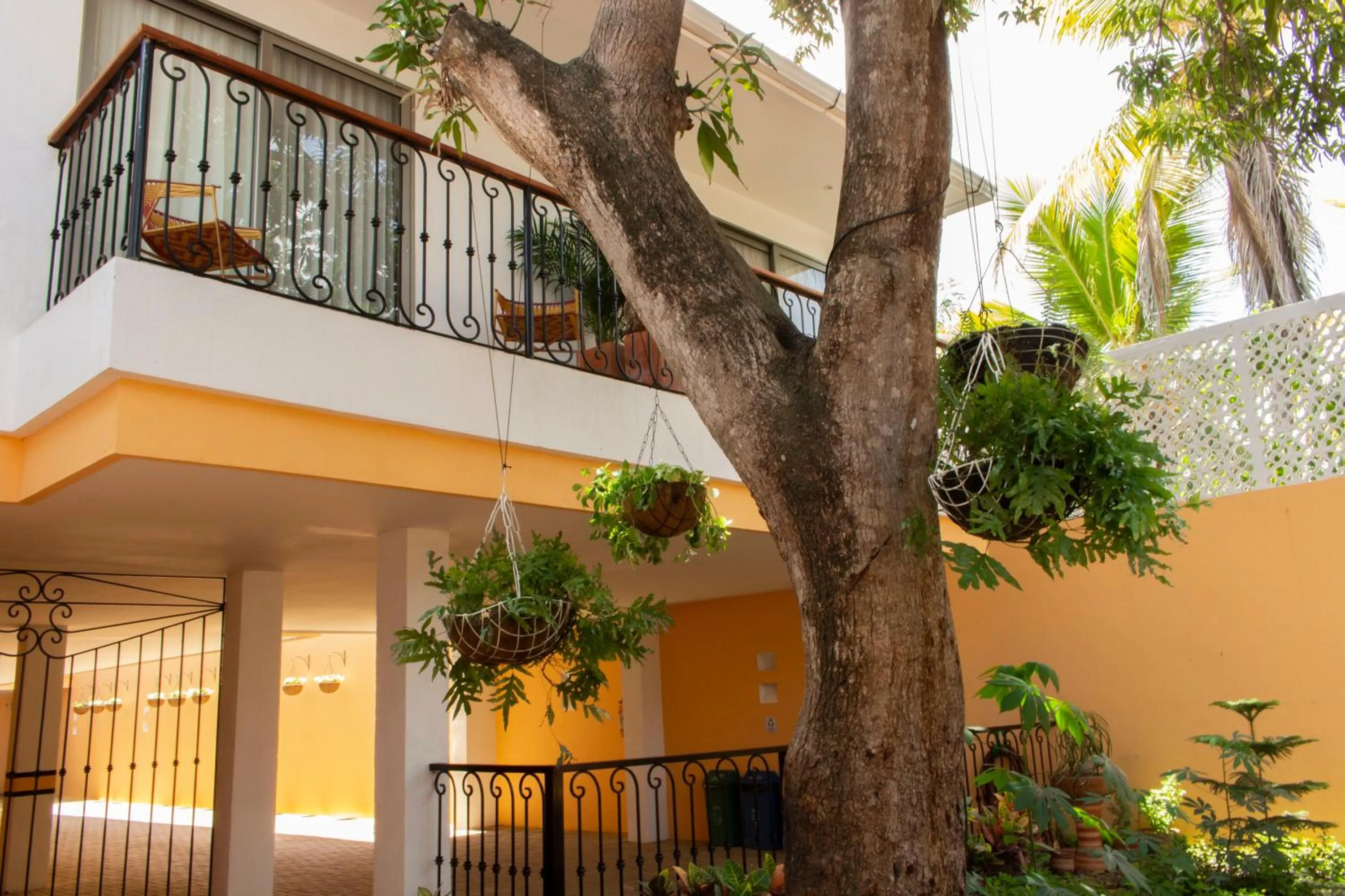 Garden in Hotel La Gloria
