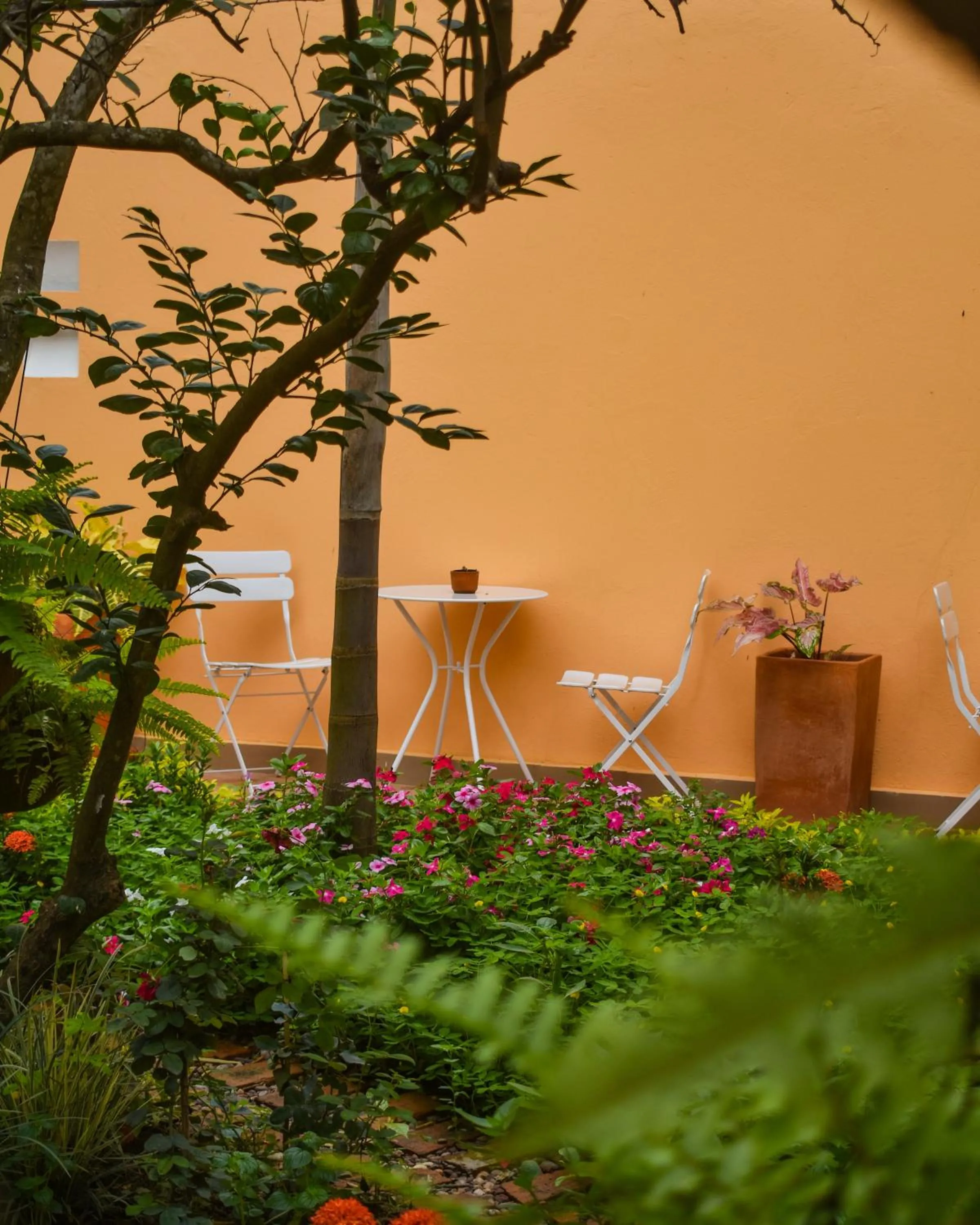 Patio in Hotel La Gloria