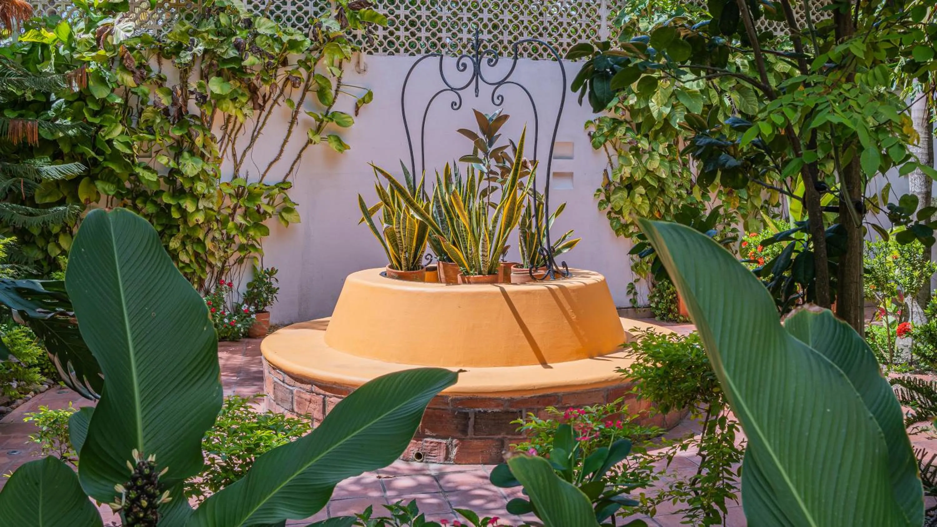 Garden in Hotel La Gloria